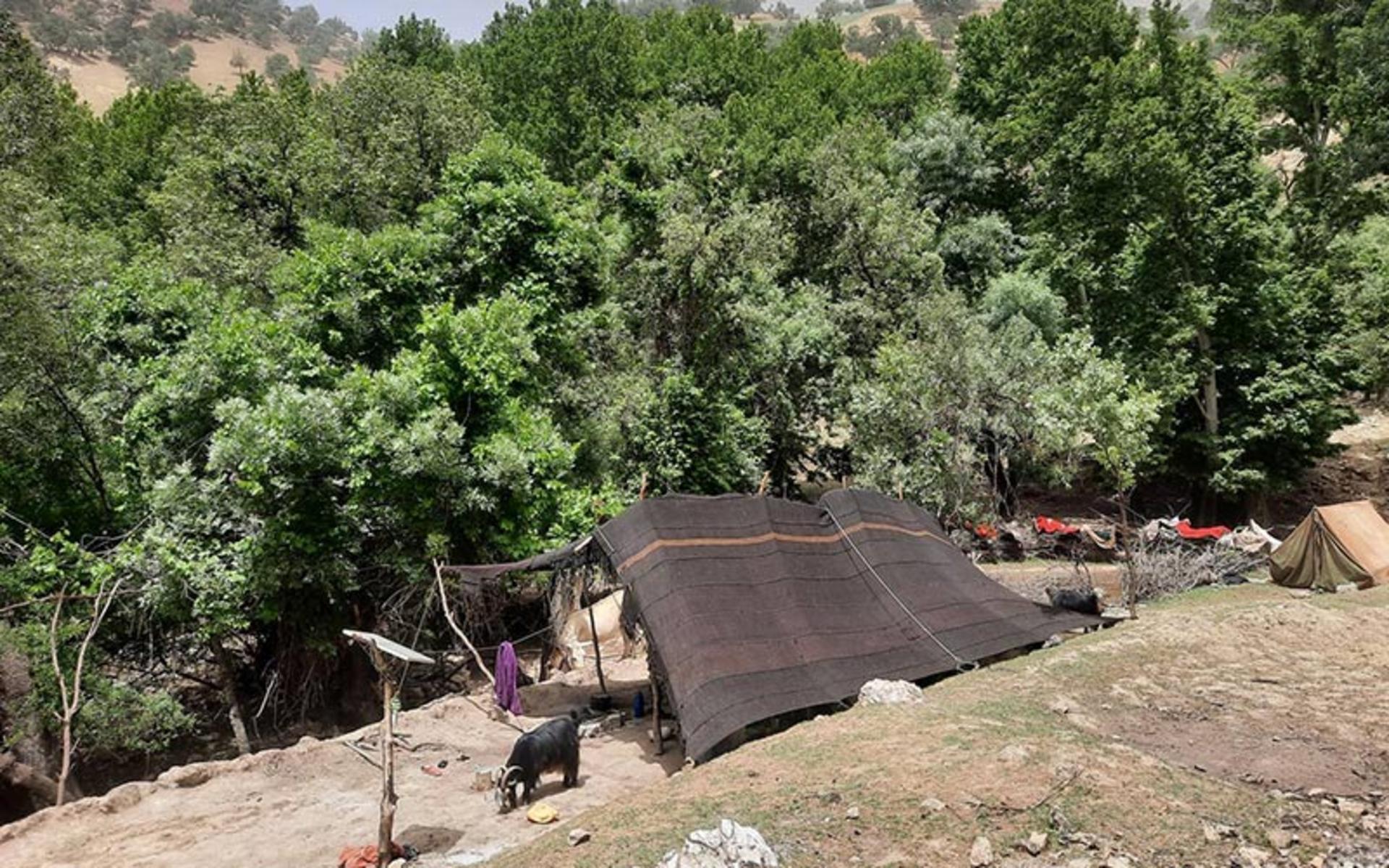 عشایر روستای لندی