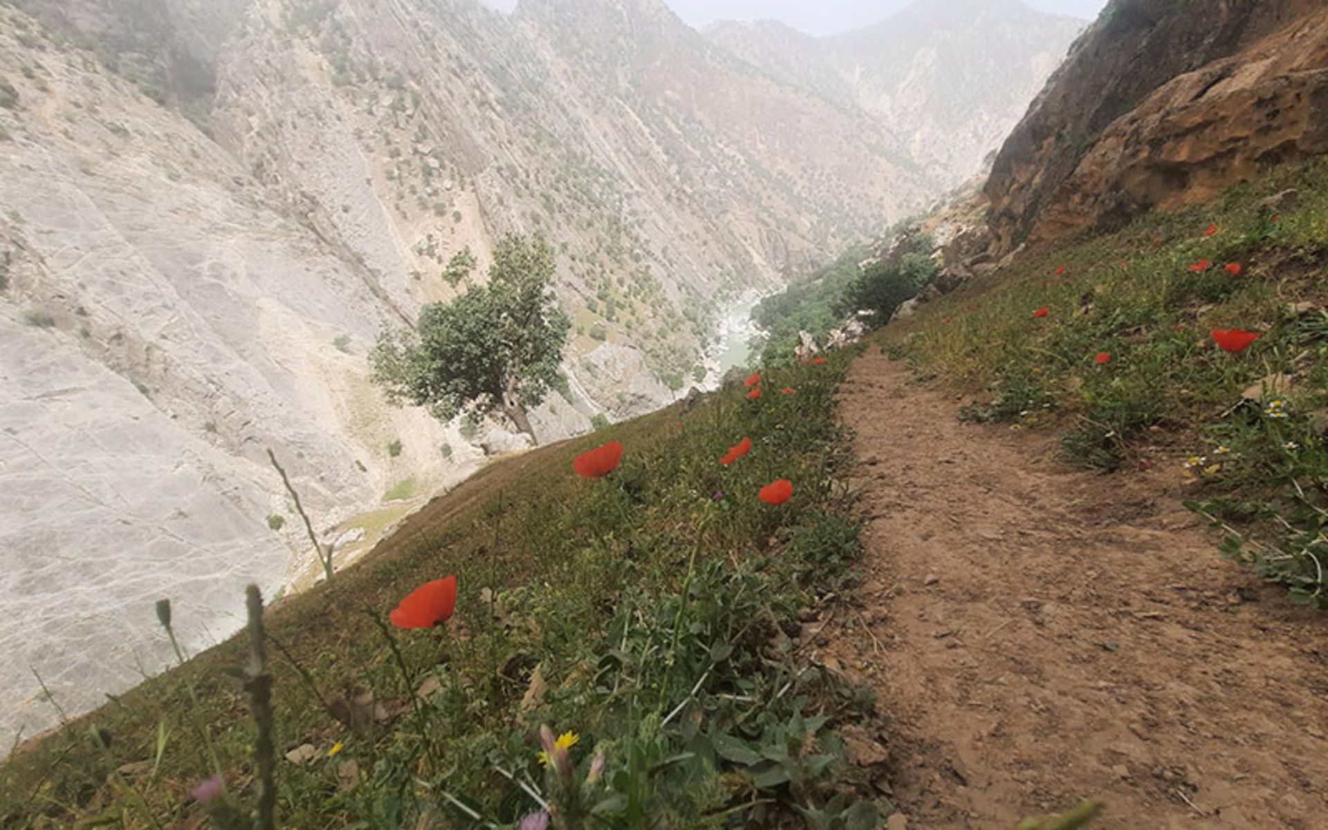 مسیر کوهستانی آبشار لندی
