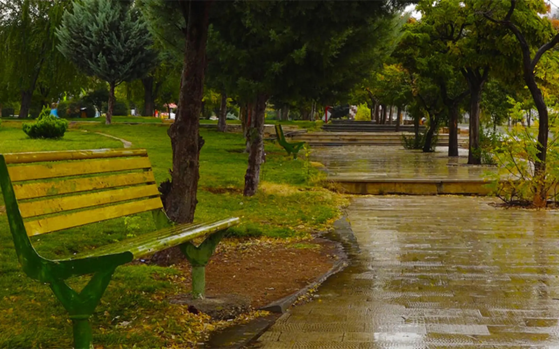 نیمکت پارک ساحلی یاسوج در باران