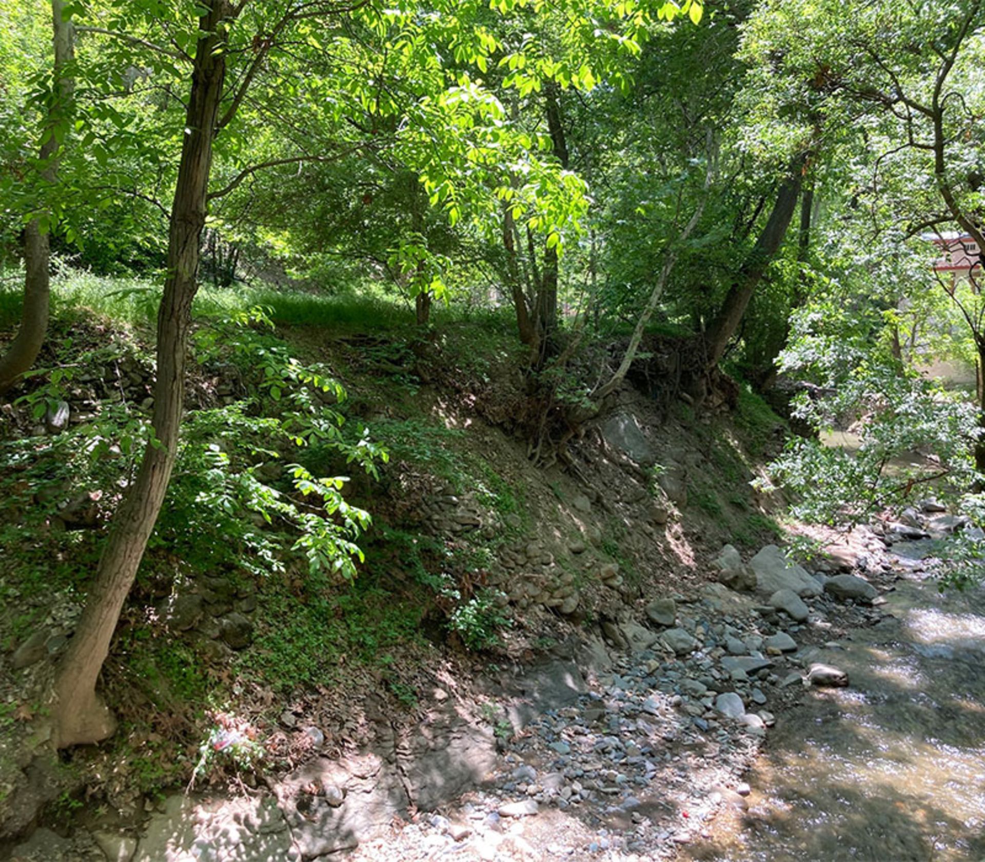 طبیعت سرسبز روستای برغان