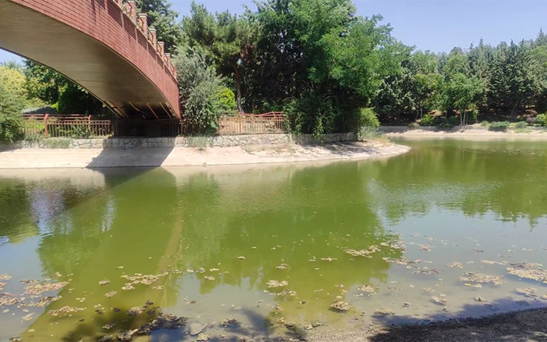 دریاچه و طبیعت بوستان جنگلی جهان نما