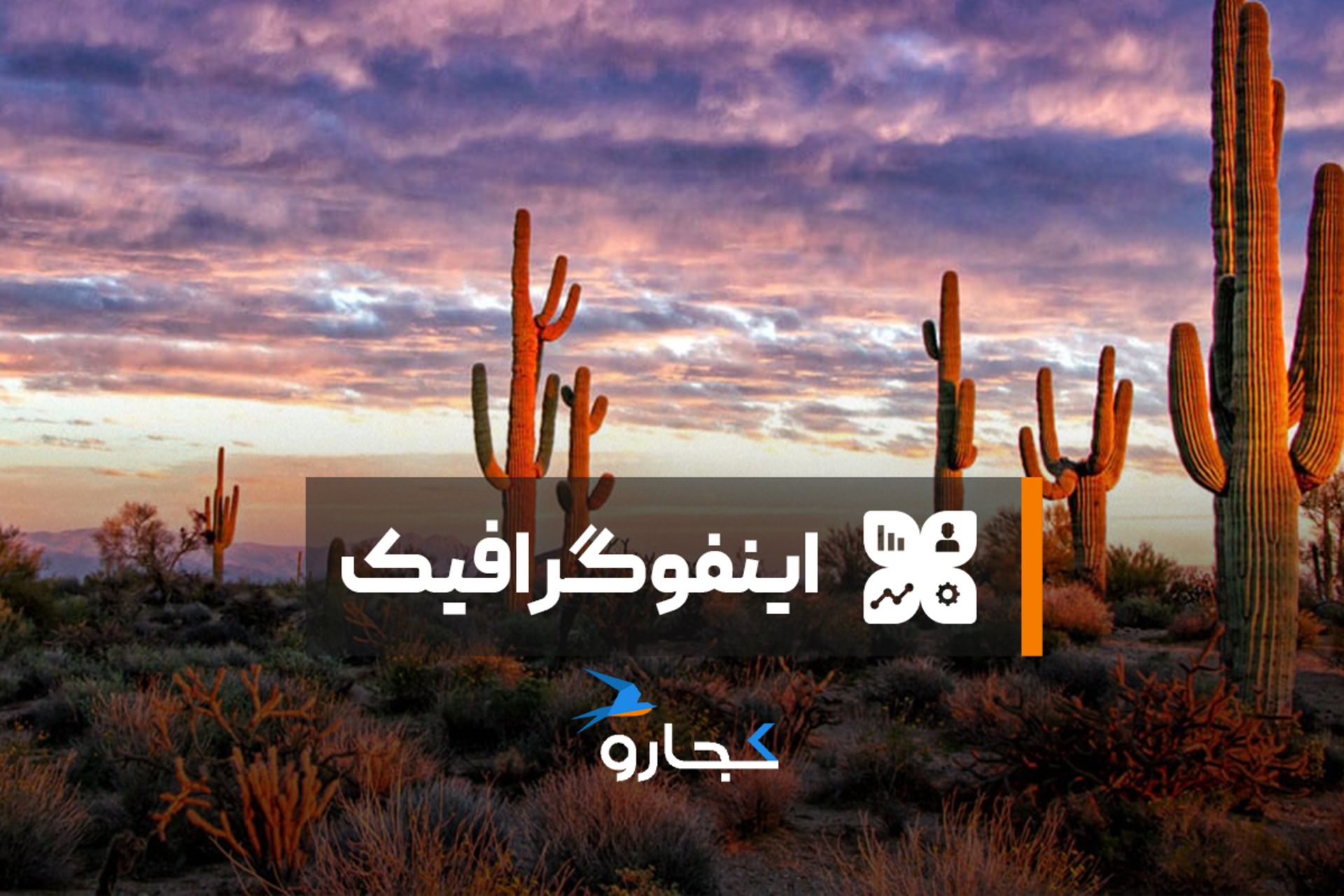 اینفوگرافیک بیشترین بیابان