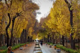 فضای پاییزی در خیابان چهارباغ عباسی