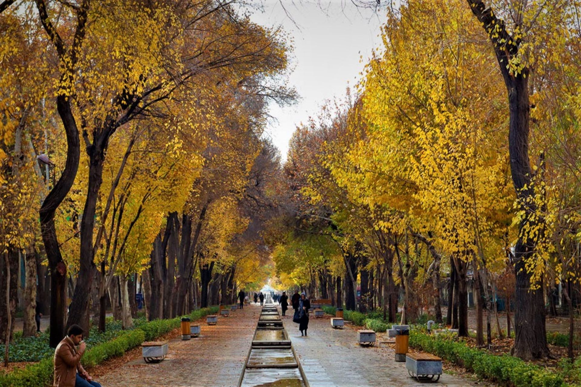 فضای پاییزی در خیابان چهارباغ عباسی