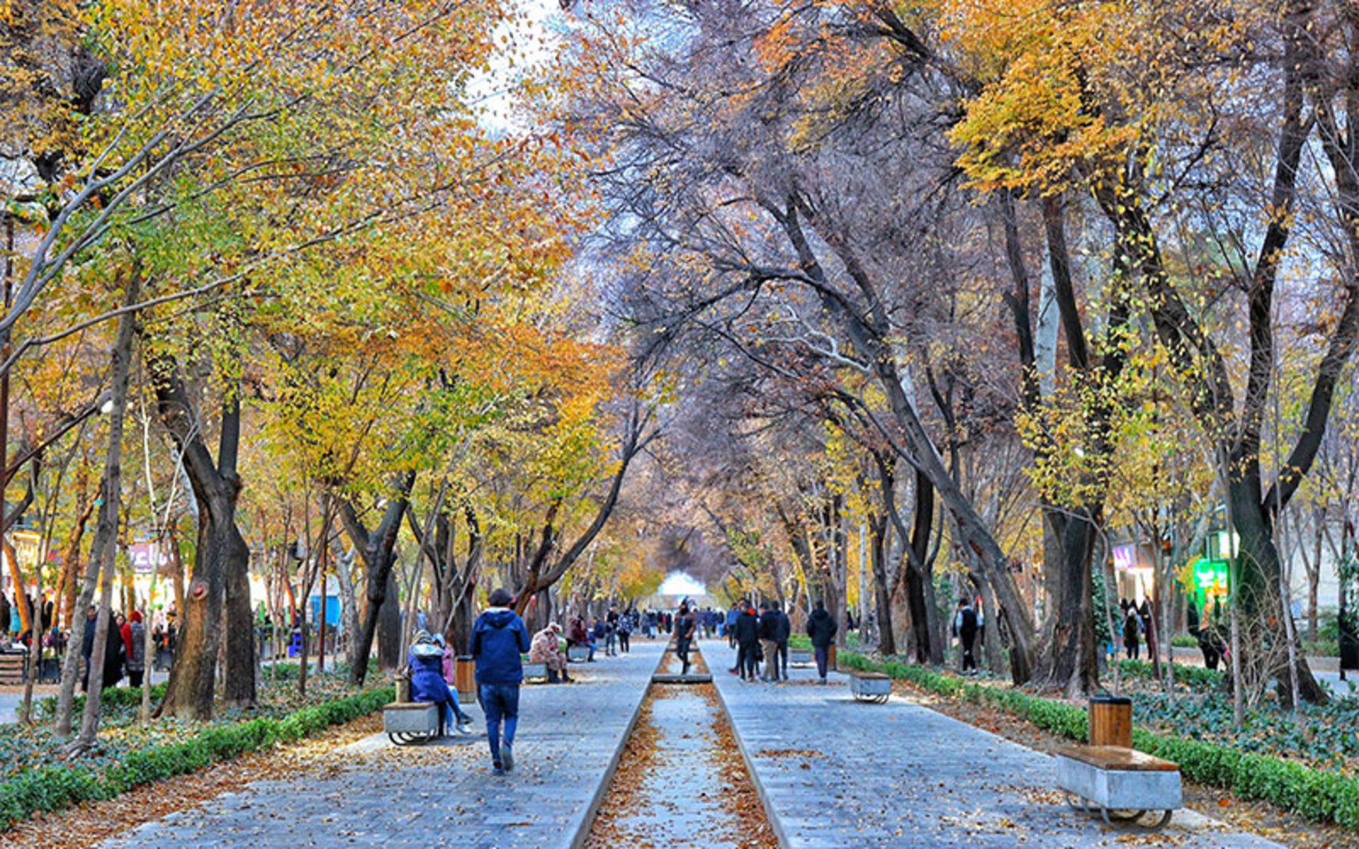 خیابان چهارباغ عباسی در پاییز
