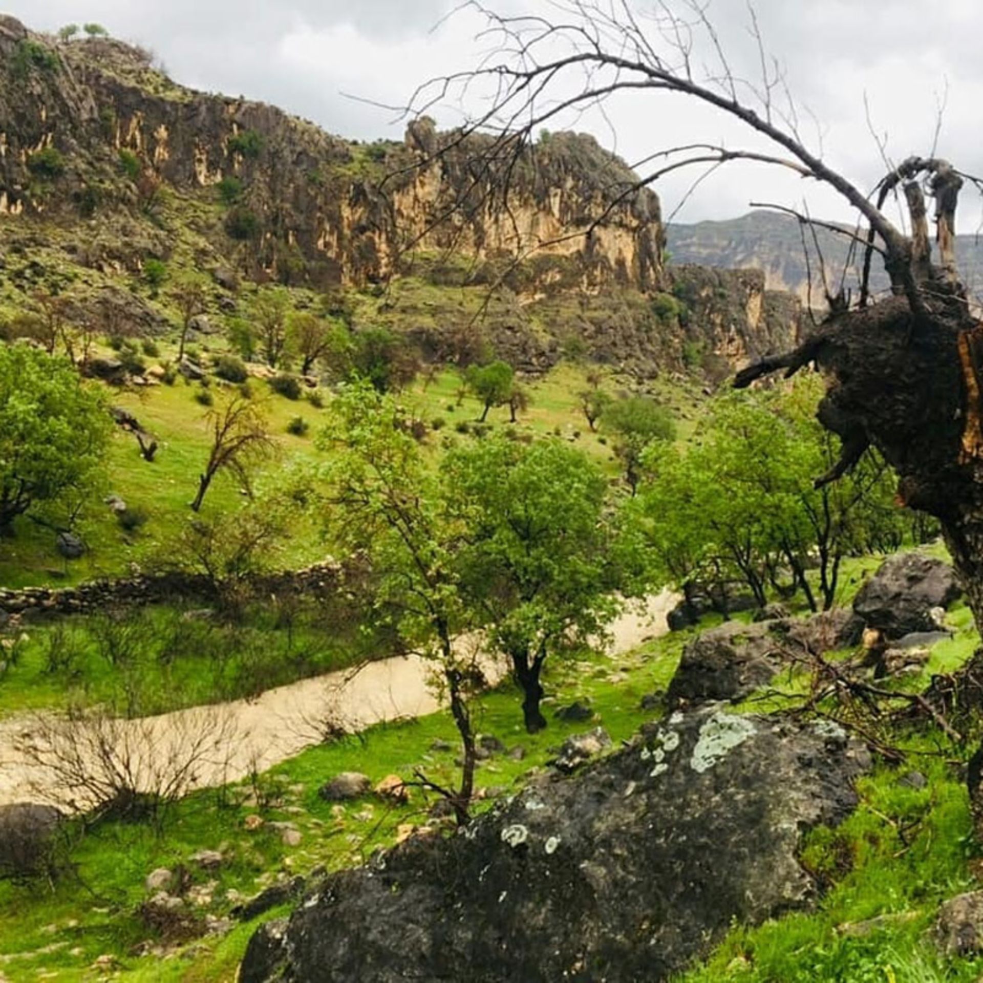 دره سرسبز روستای دشتک شیراز