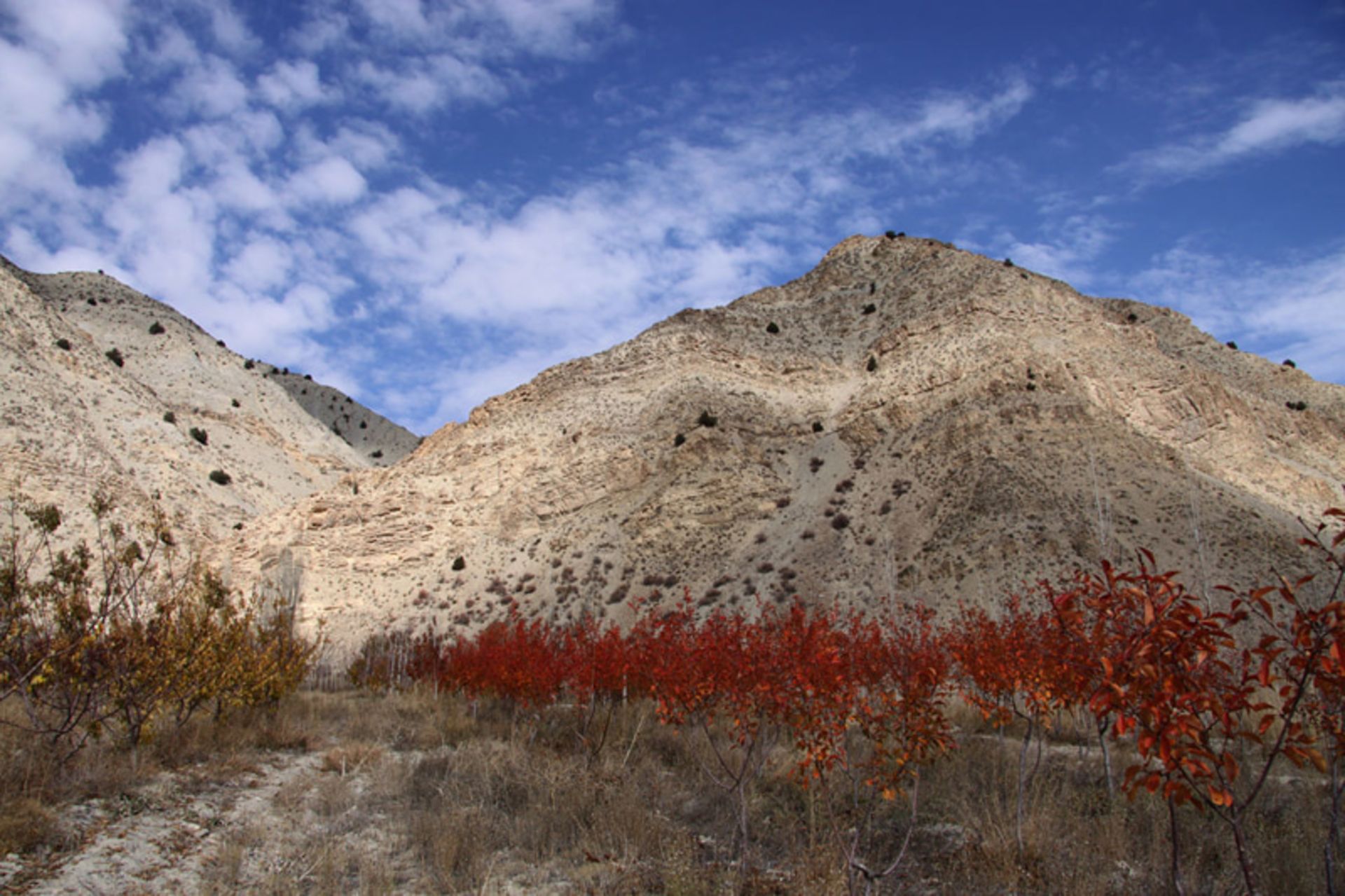 منظره طبیعی کوهپایه‌ای دامغان در پاییز