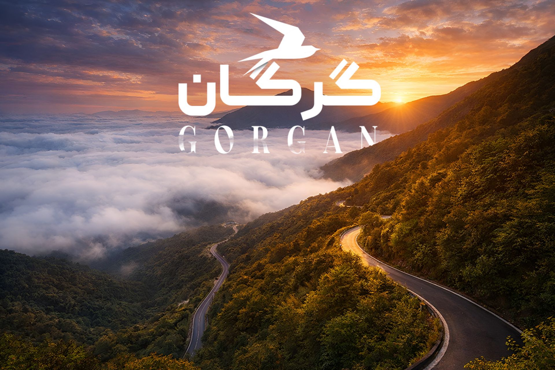 جنگل توسکستان گرگان