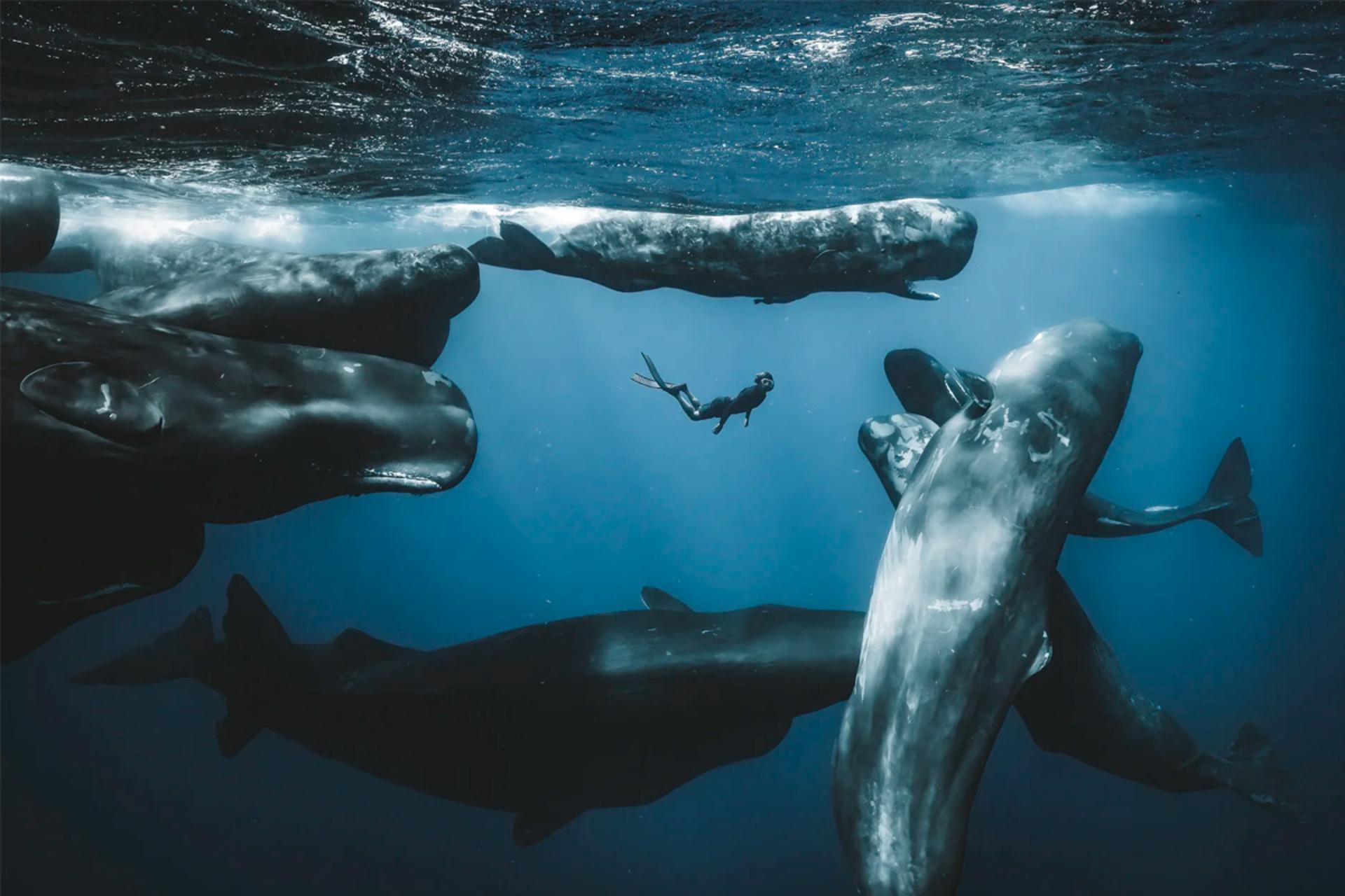 Ocean Photographer
