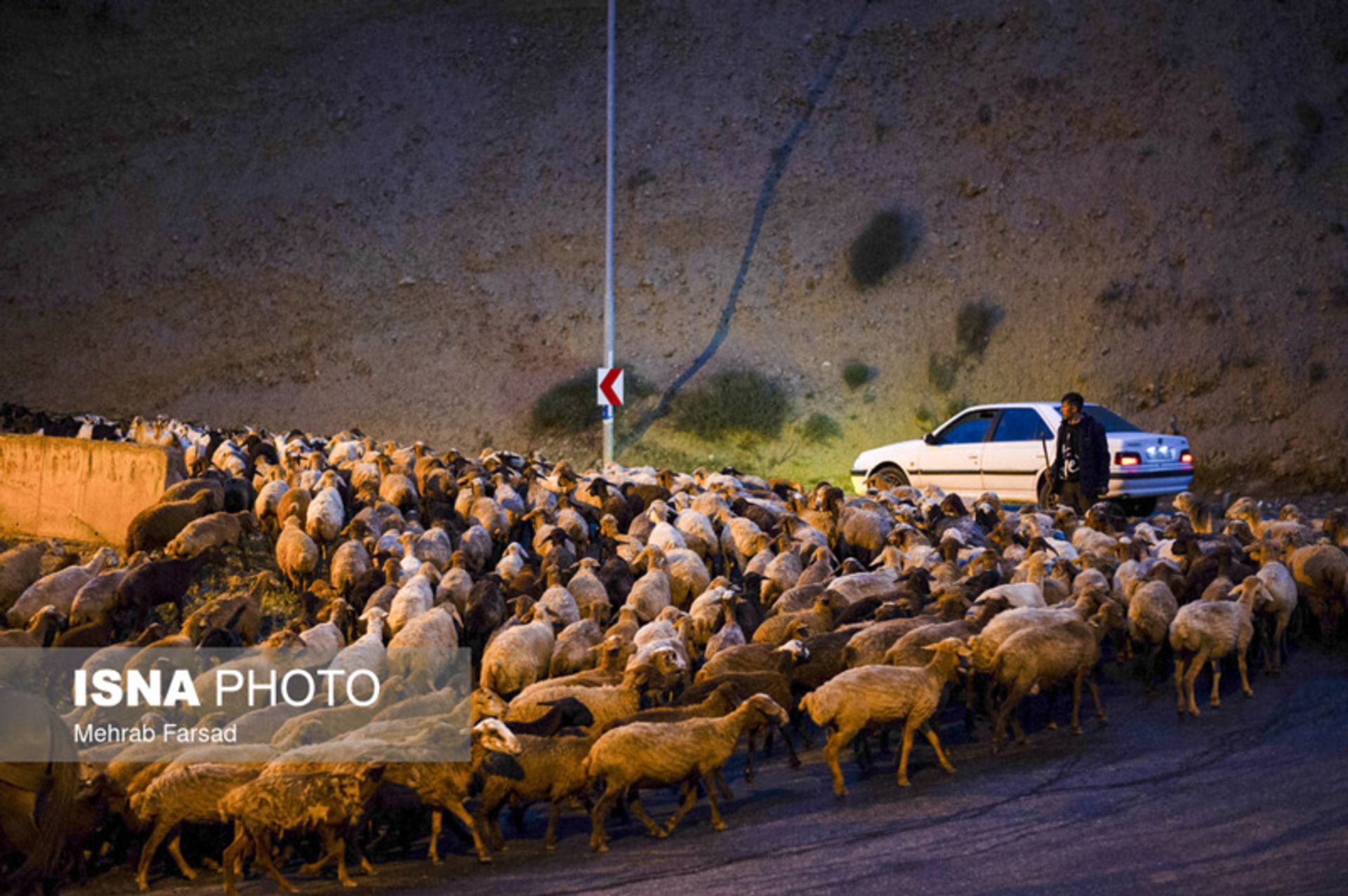 کوچ در جاده چالوس