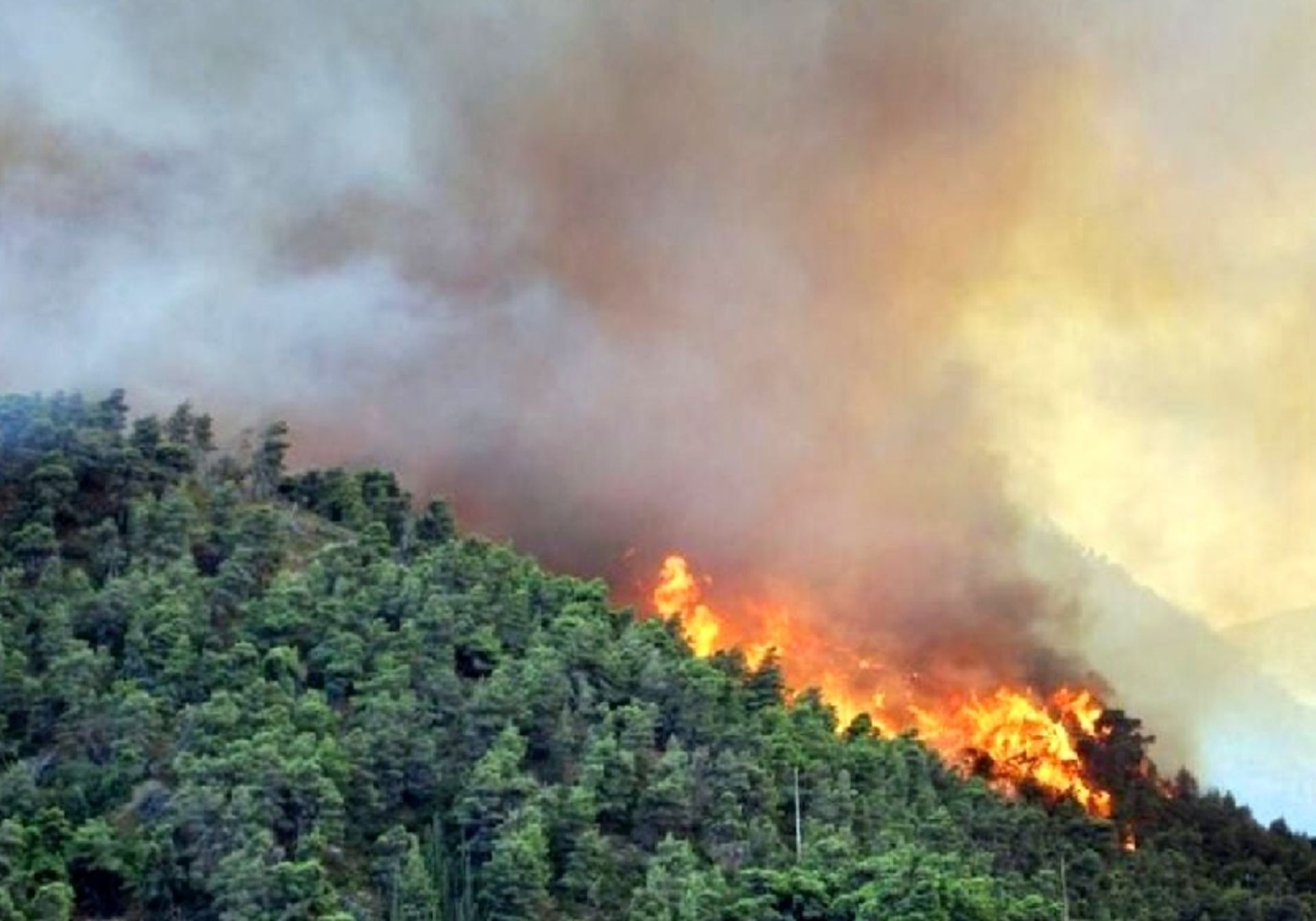 هیرکانی در آتش