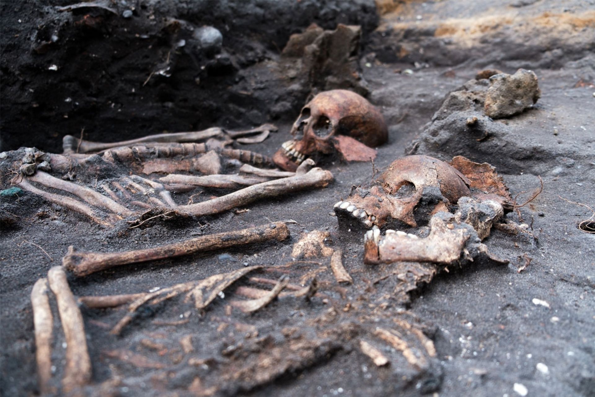 کشف اسکلت در دانمارک