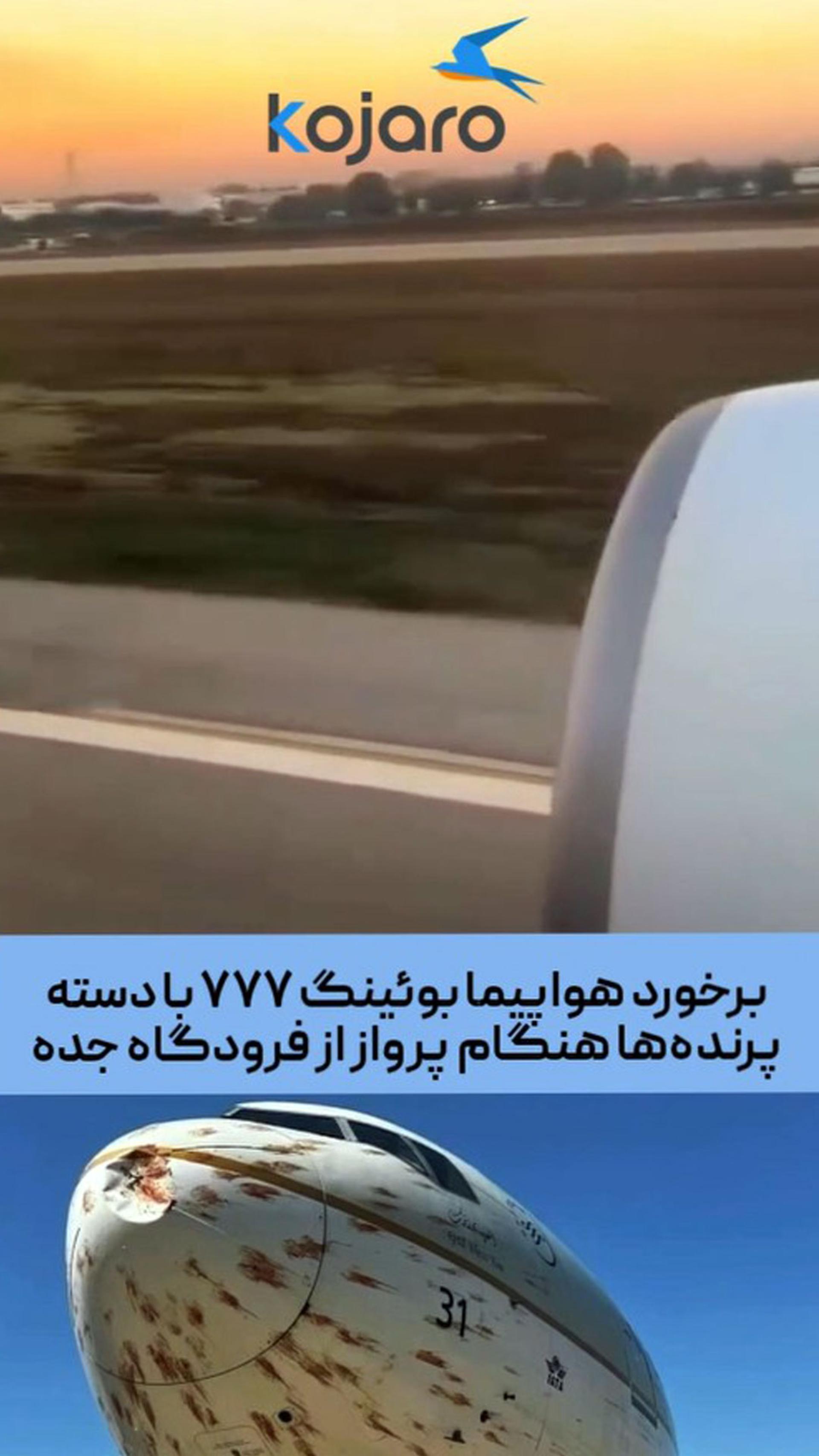 برخورد هواپیما با پرنده