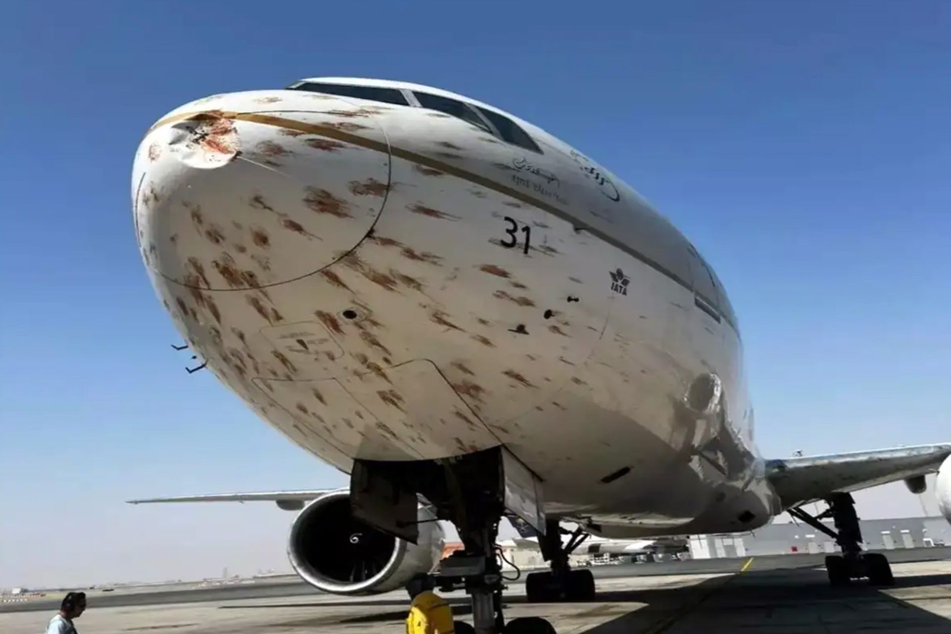 برخورد هواپیما با پرنده