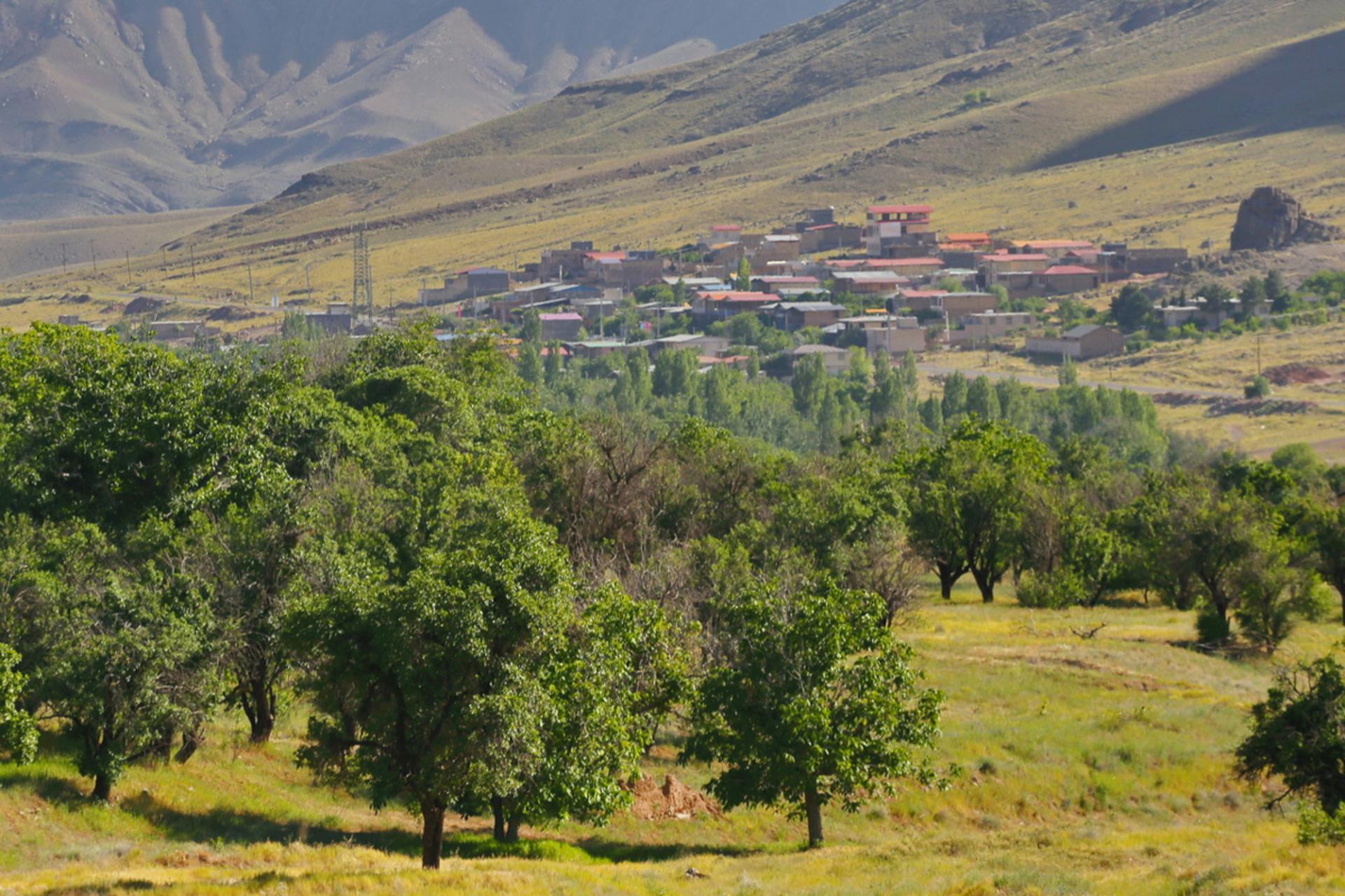 دورنمای شهر دلیجان