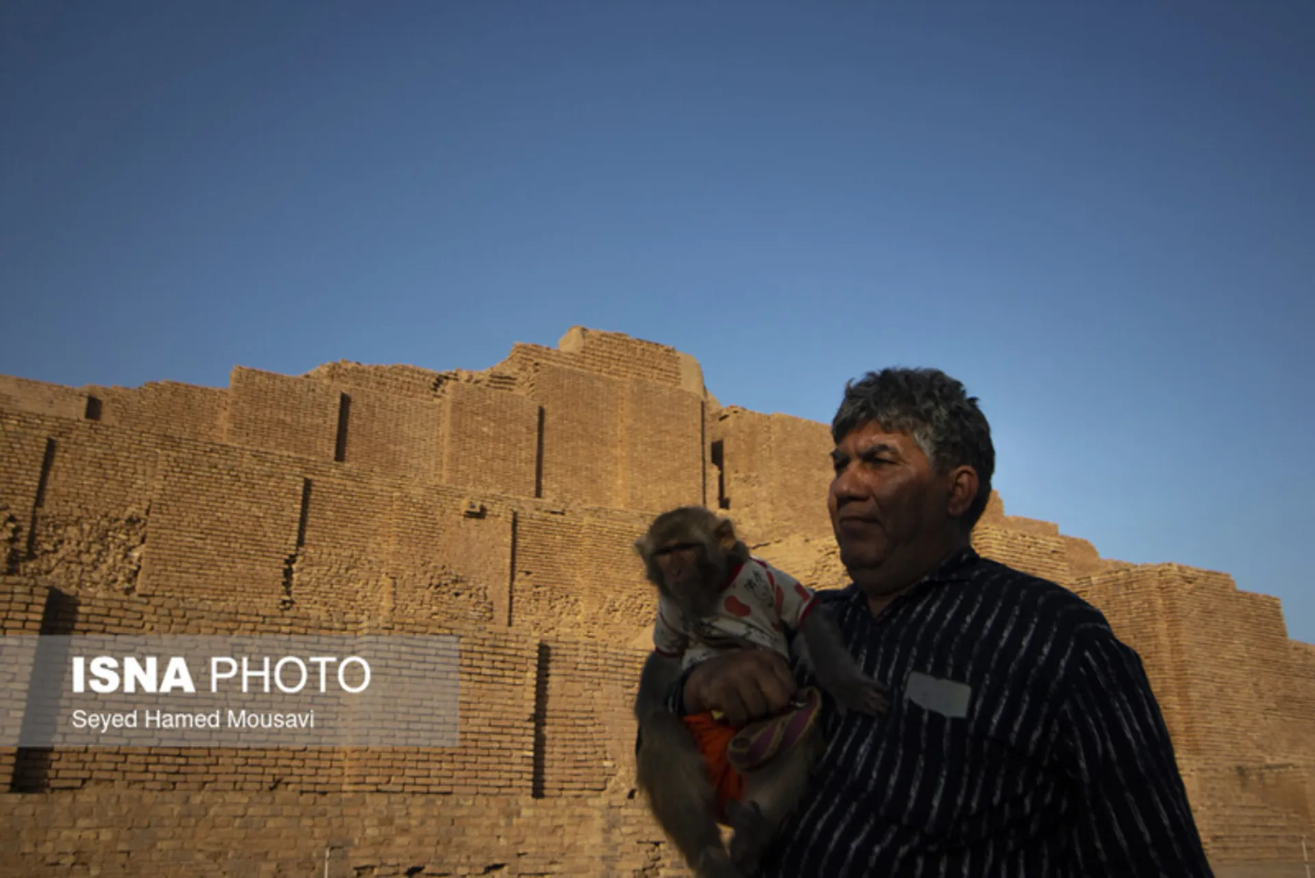 گردشگر و میمون در چغازنبیل