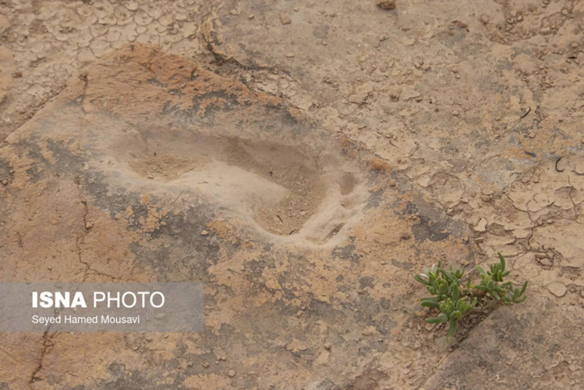 ردپای باستانی چغازنبیل