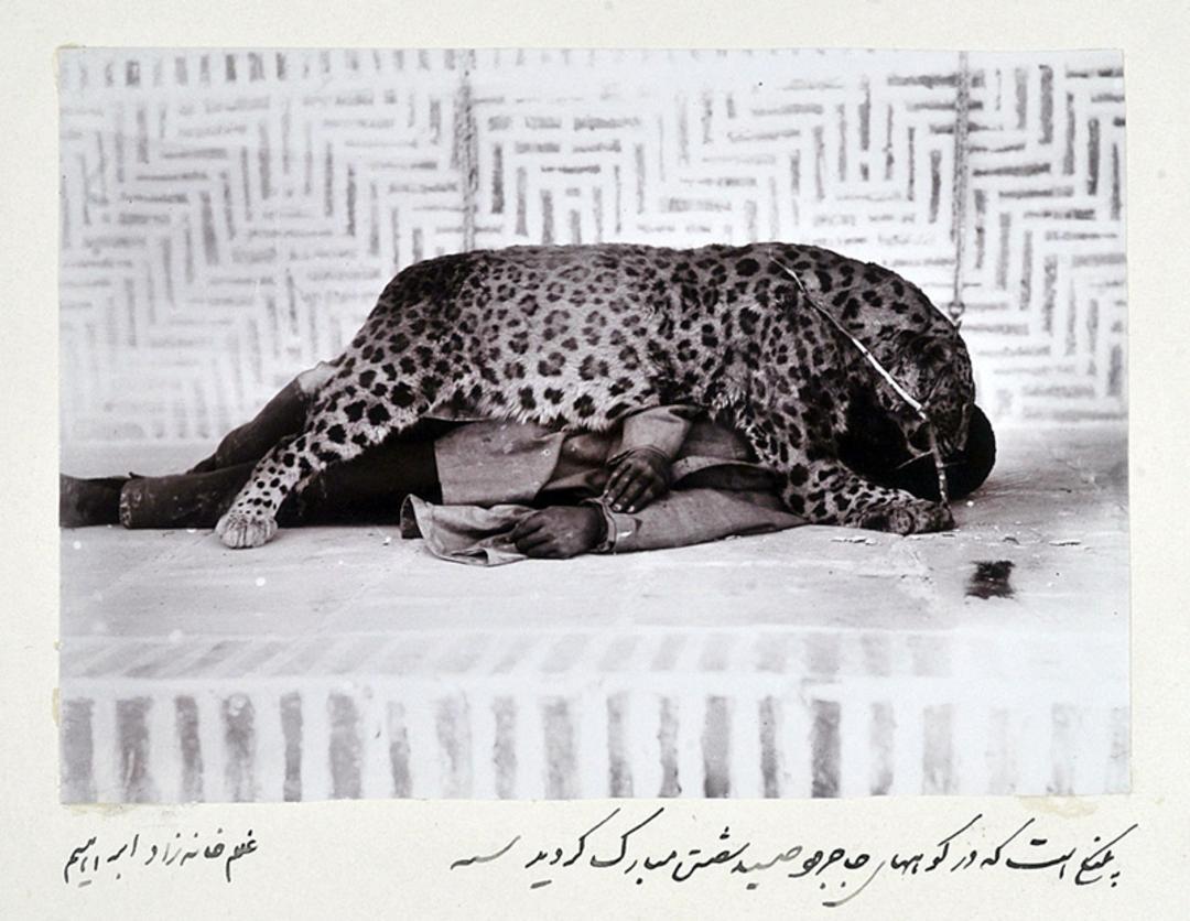 پلنگی که مظفرالدین شاه شکار کرد