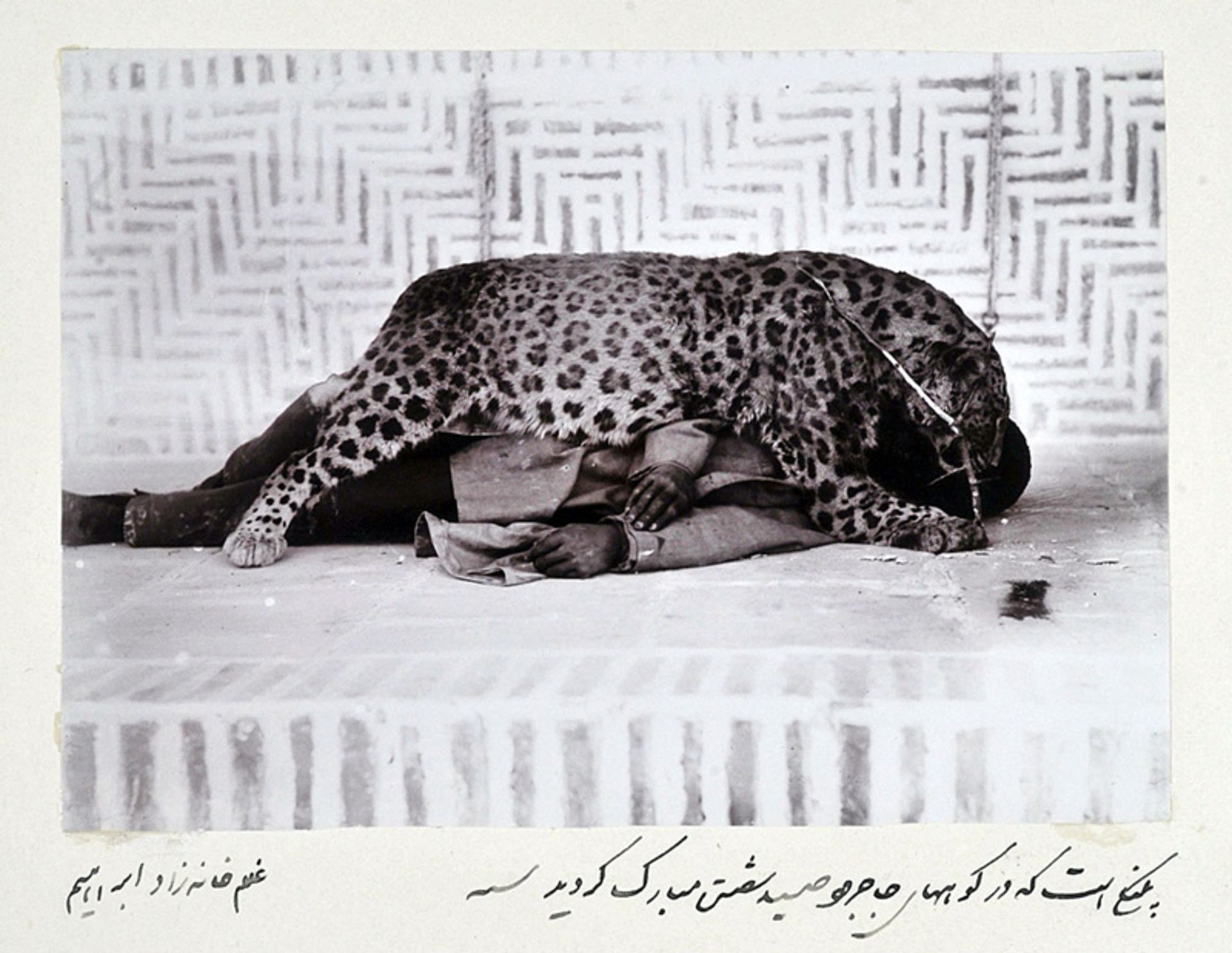پلنگی که مظفرالدین شاه شکار کرد