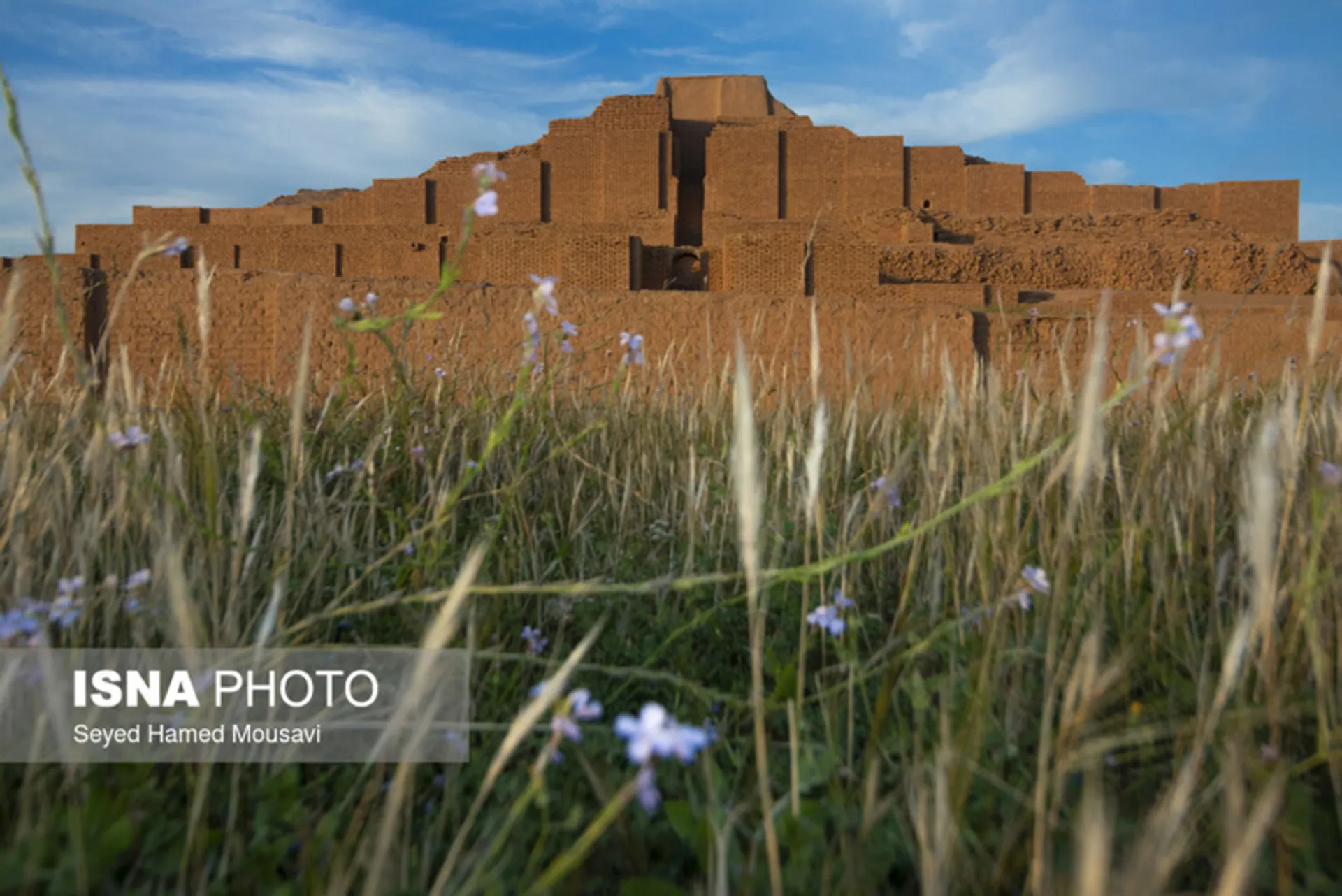 دورنمای چغازنبیل