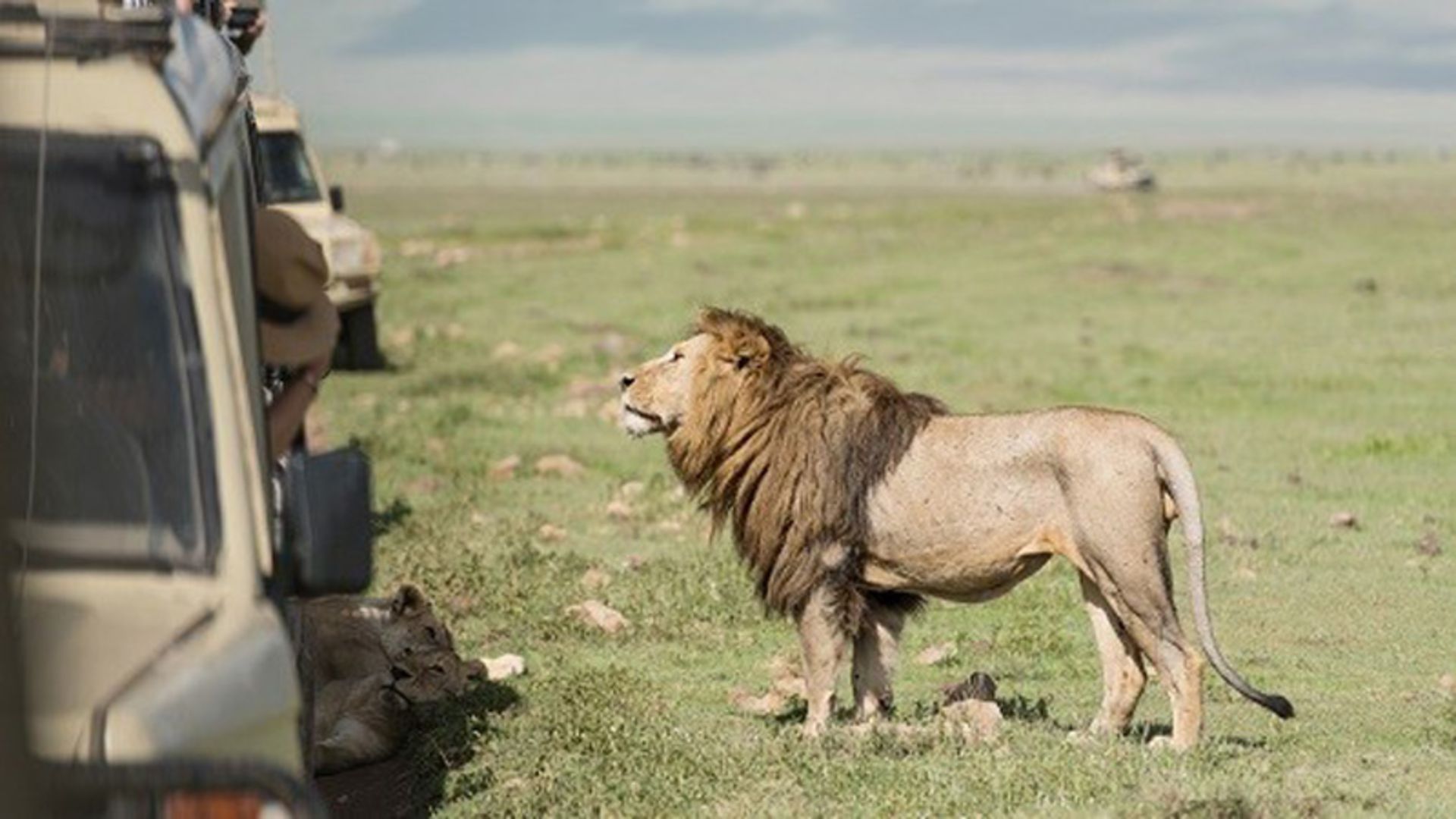 تور آفریقای جنوبی