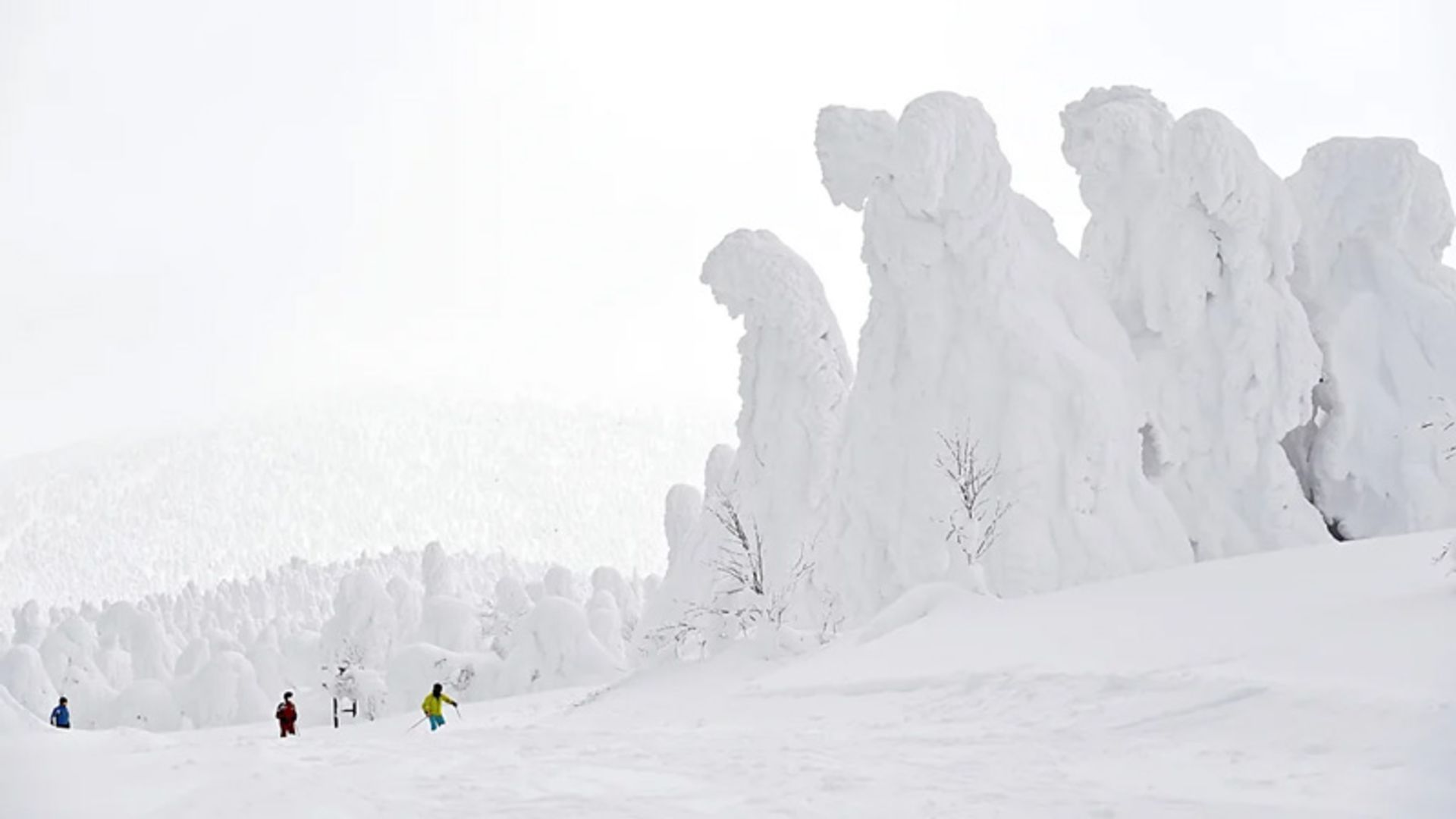 بازدیدکنندگان از پدیده جوهیو