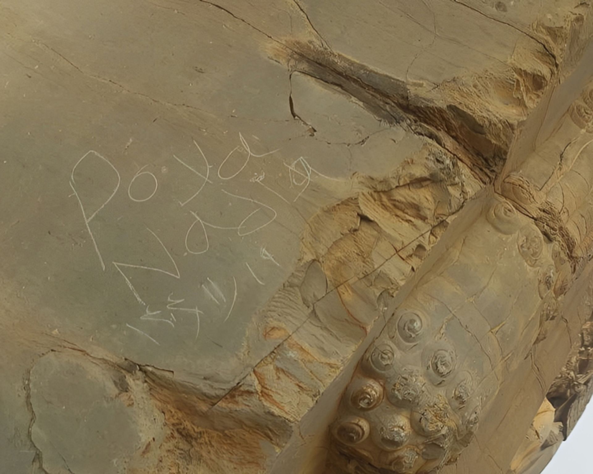 یادگاری روی تخت جمشید