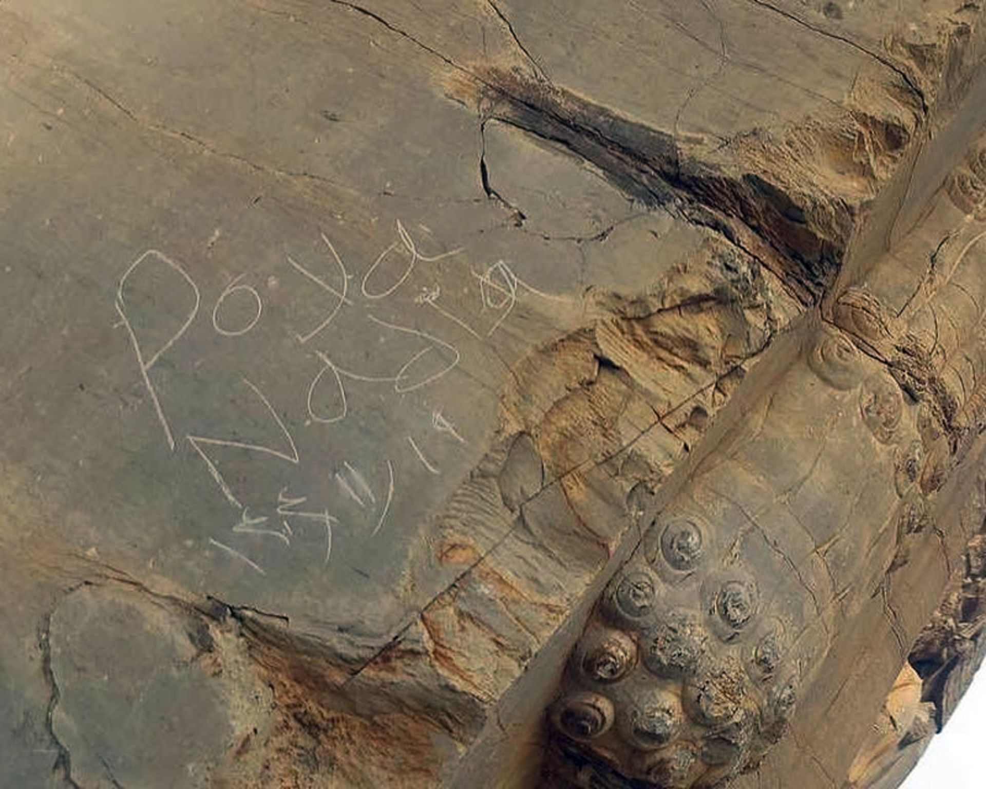 صدمه به تخت جمشید