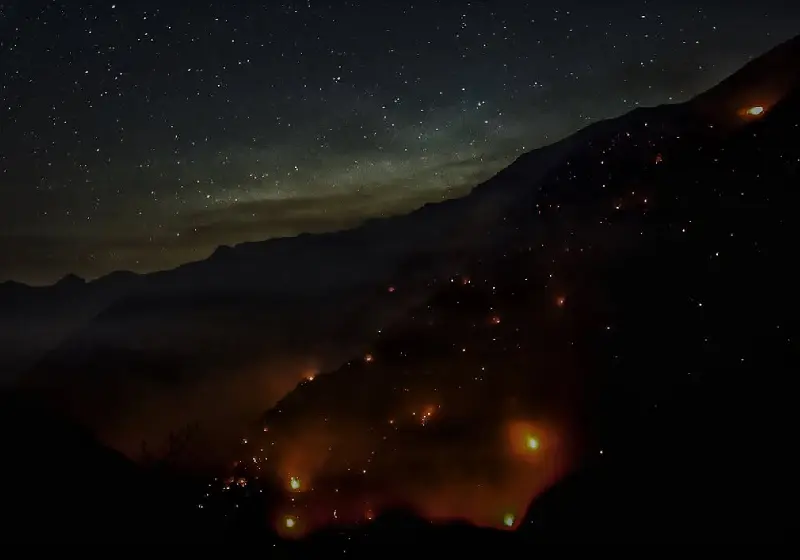 آتش سوزی سریالی جنگل ها