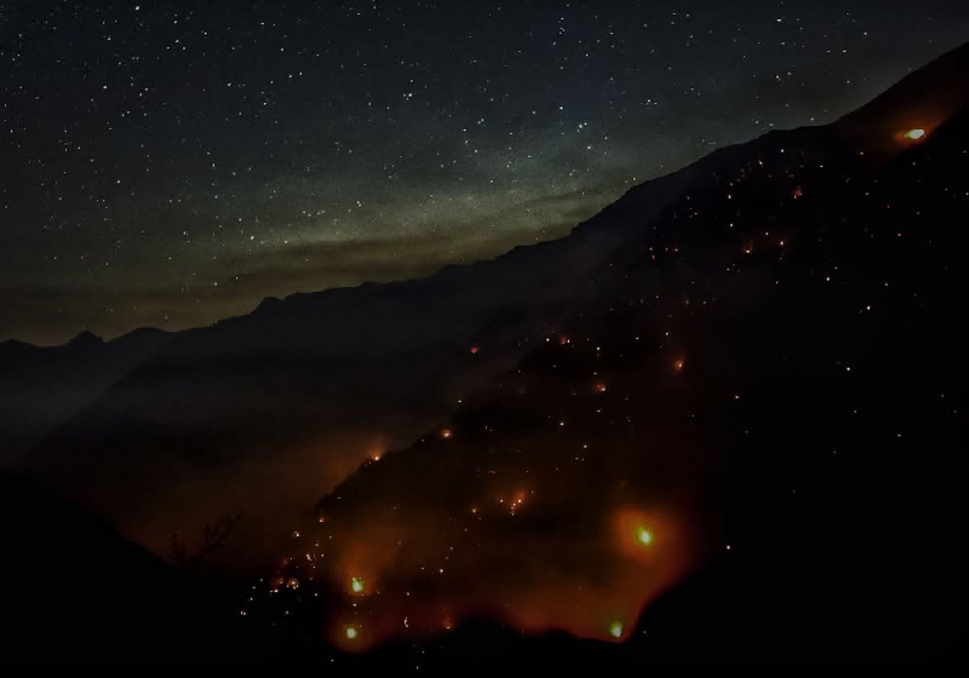 آتش سوزی سریالی جنگل ها