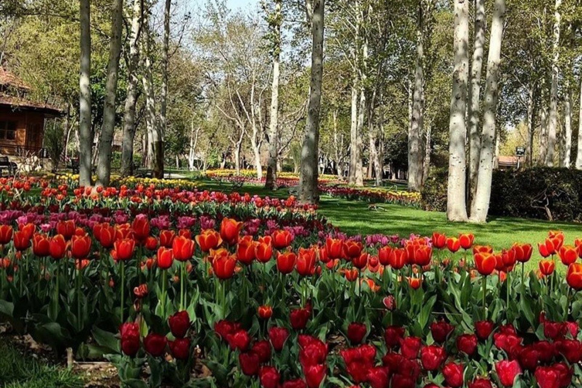 بهترین باغ‌های جهان