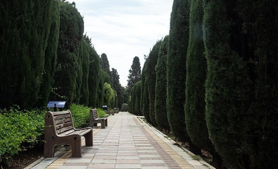 پارکی در خیابان ولیعصر تهران