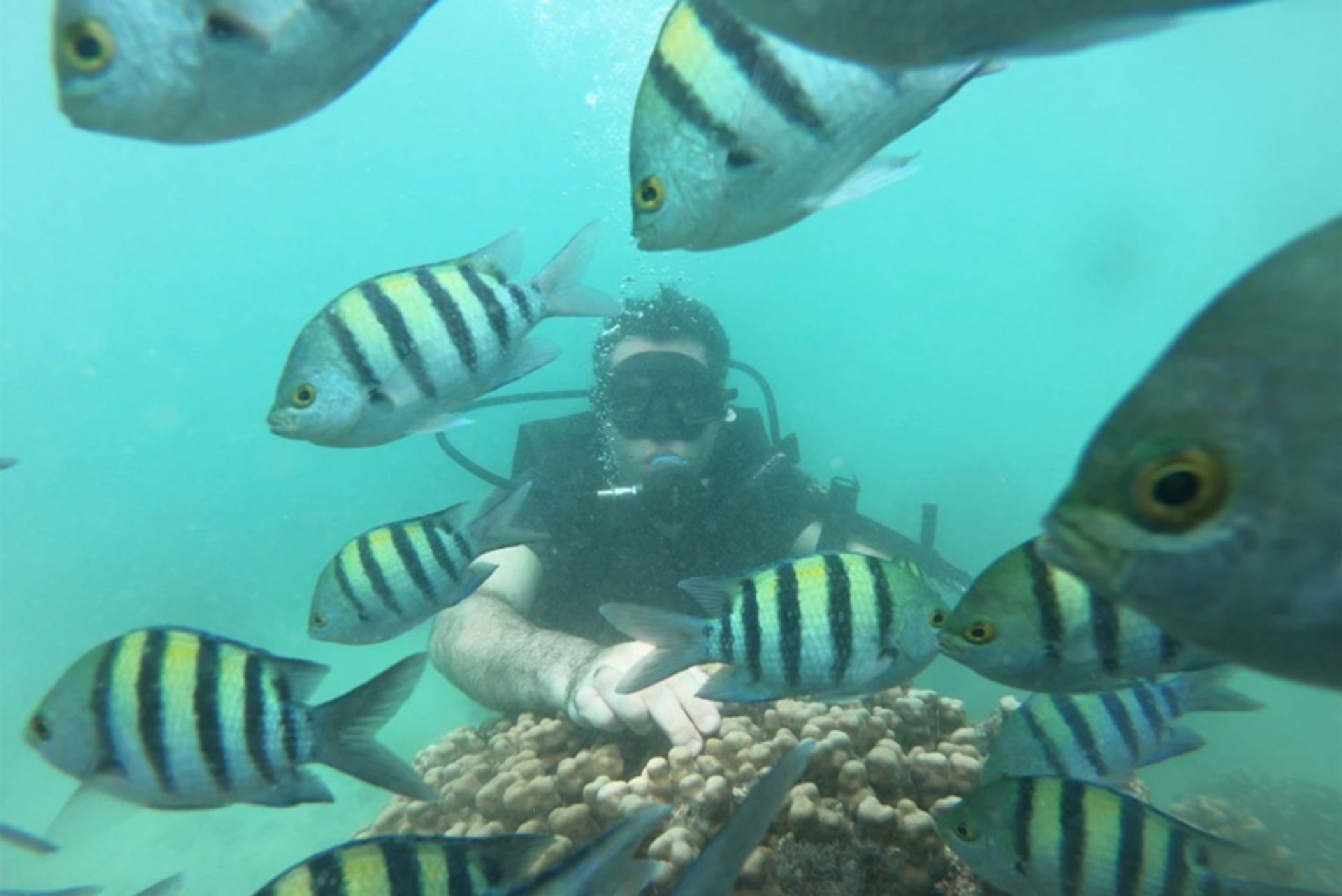 تفریحات کیش