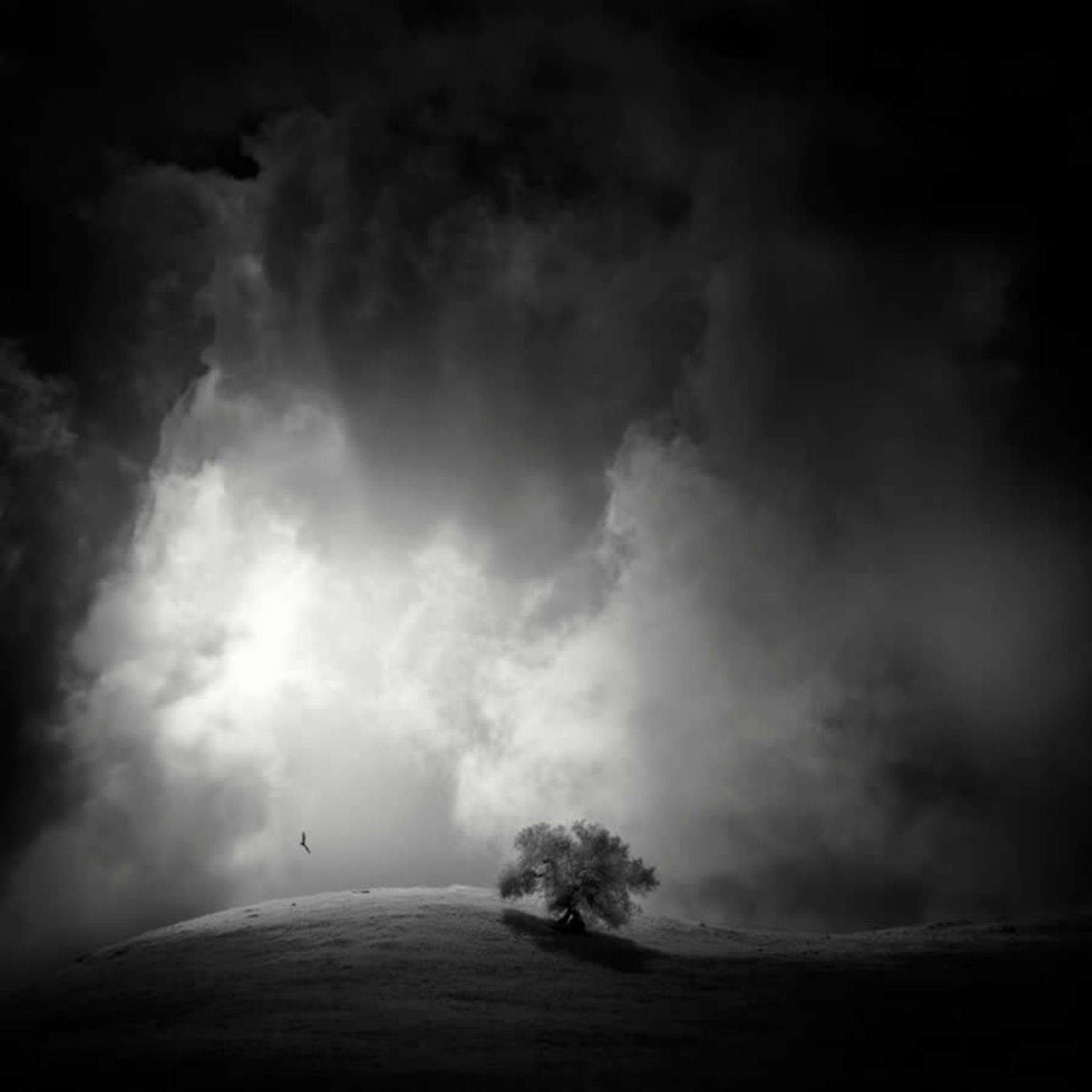 آسمان ابری و درختی روی تپه