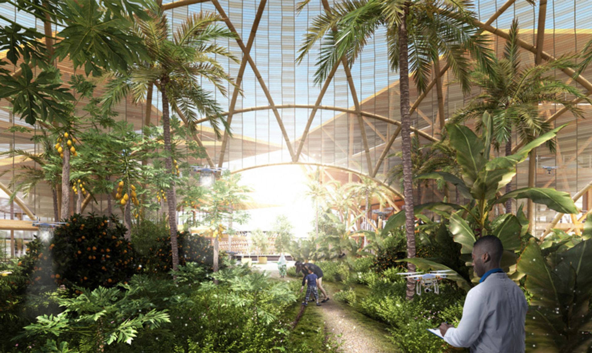 گلخانه‌های شهر پایدار و شناور اوشنیکس