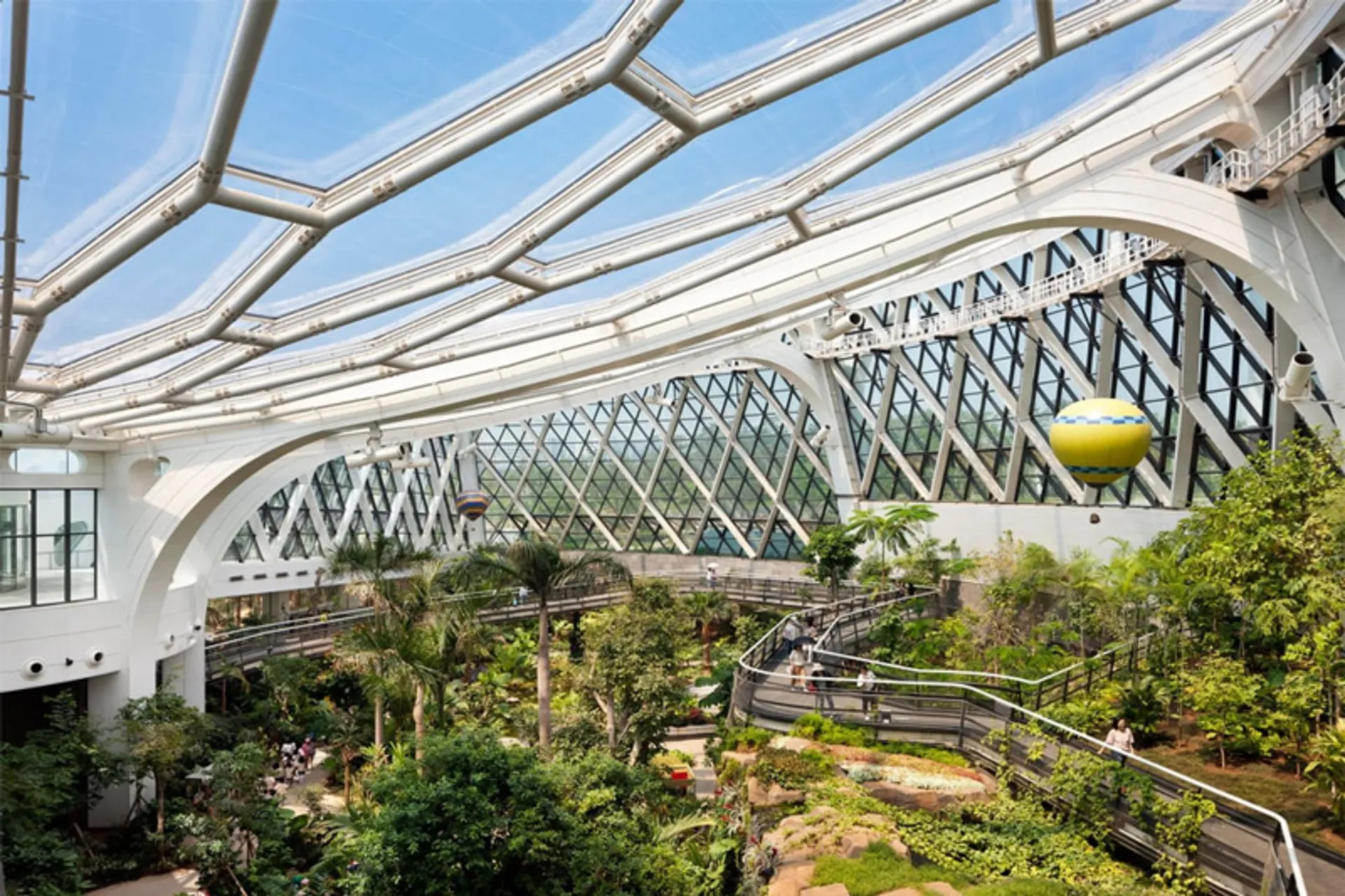 گیاهان استوایی در باغ گیاه‌شناسی سئول