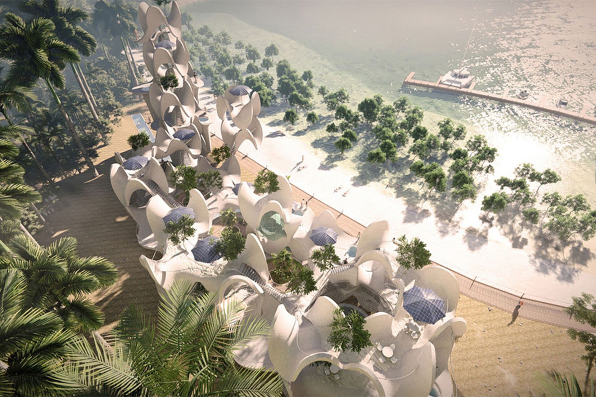 تصویر هوایی از سازه‌های مرجانی پایدار در سواحل فیلیپین