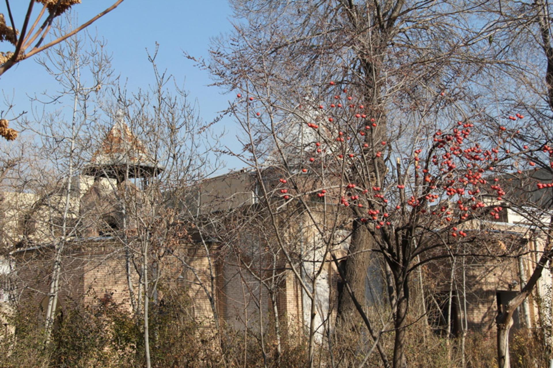 درختان میوه در کلیسای رفیعی قزوین