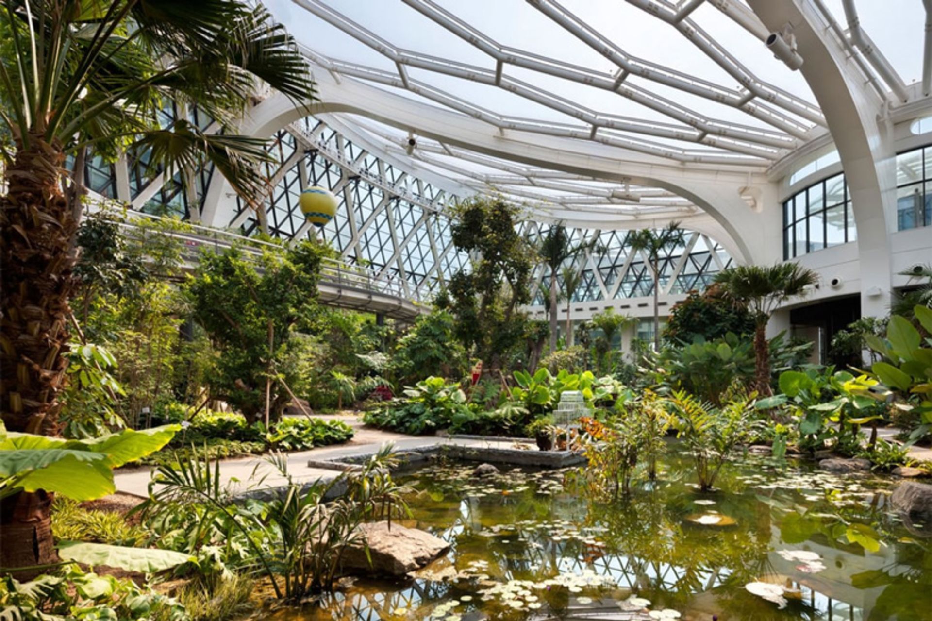 تنوع گیاهی جهان در باغ گیاه‌شناسی سئول