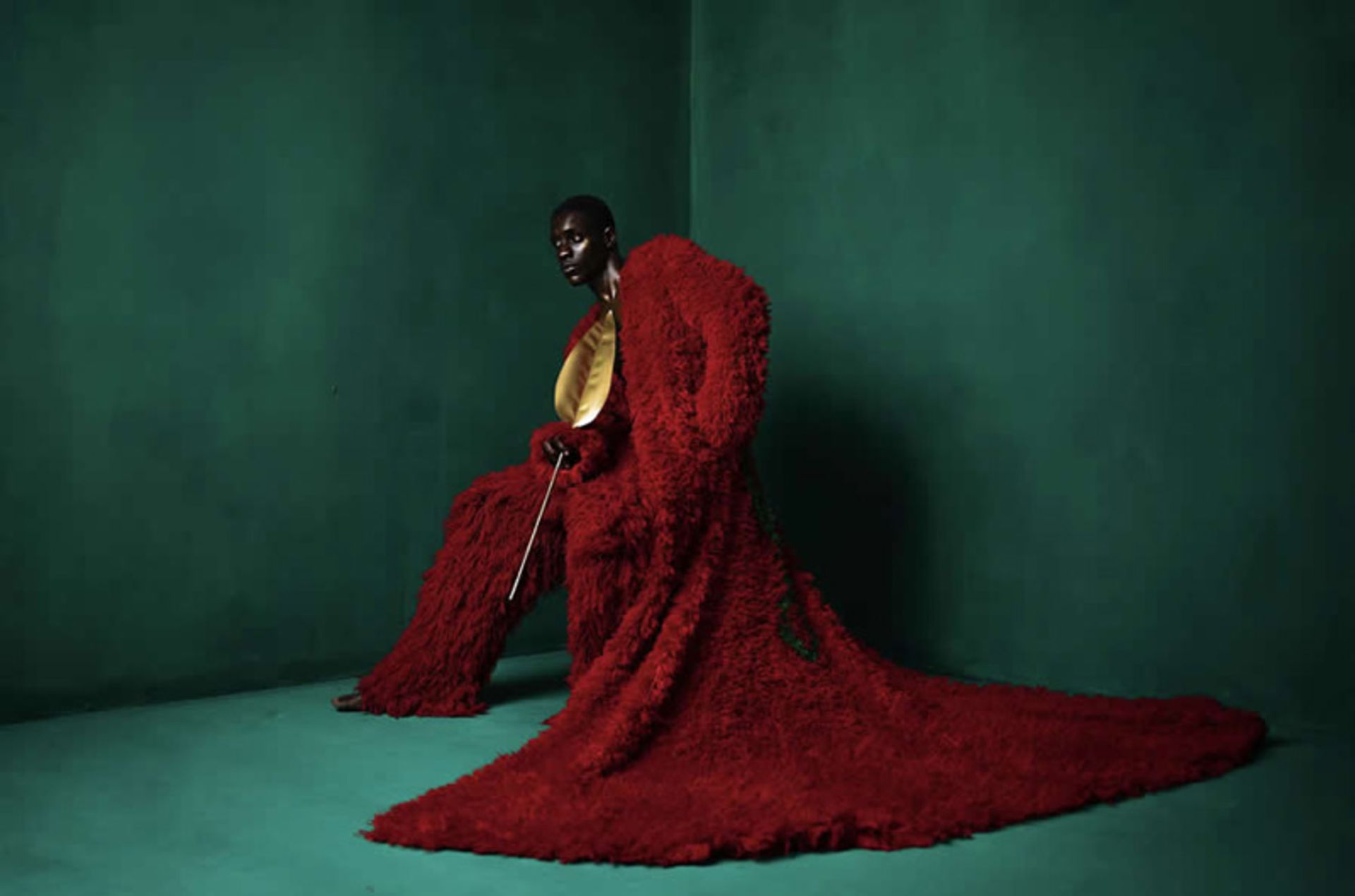 عکسی با نام زیبایی ادو