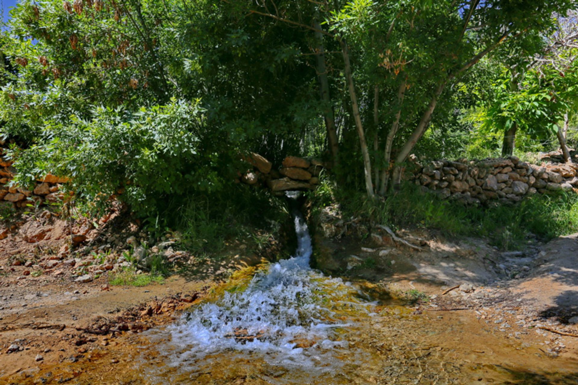 چشمه آب در شهر دلیجان