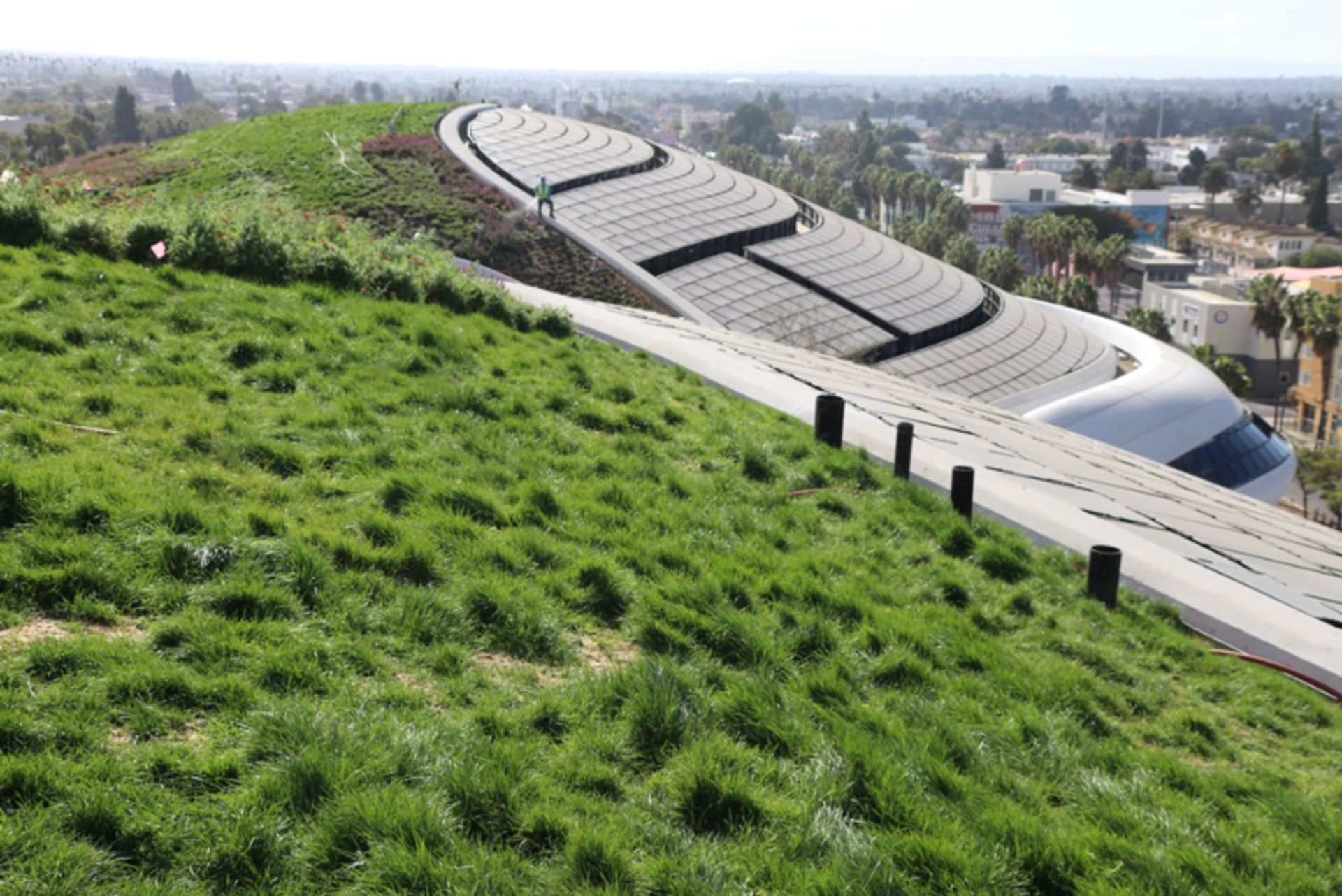 فضای سبز موزه جورج لوکاس در شهر لس‌آنجلس