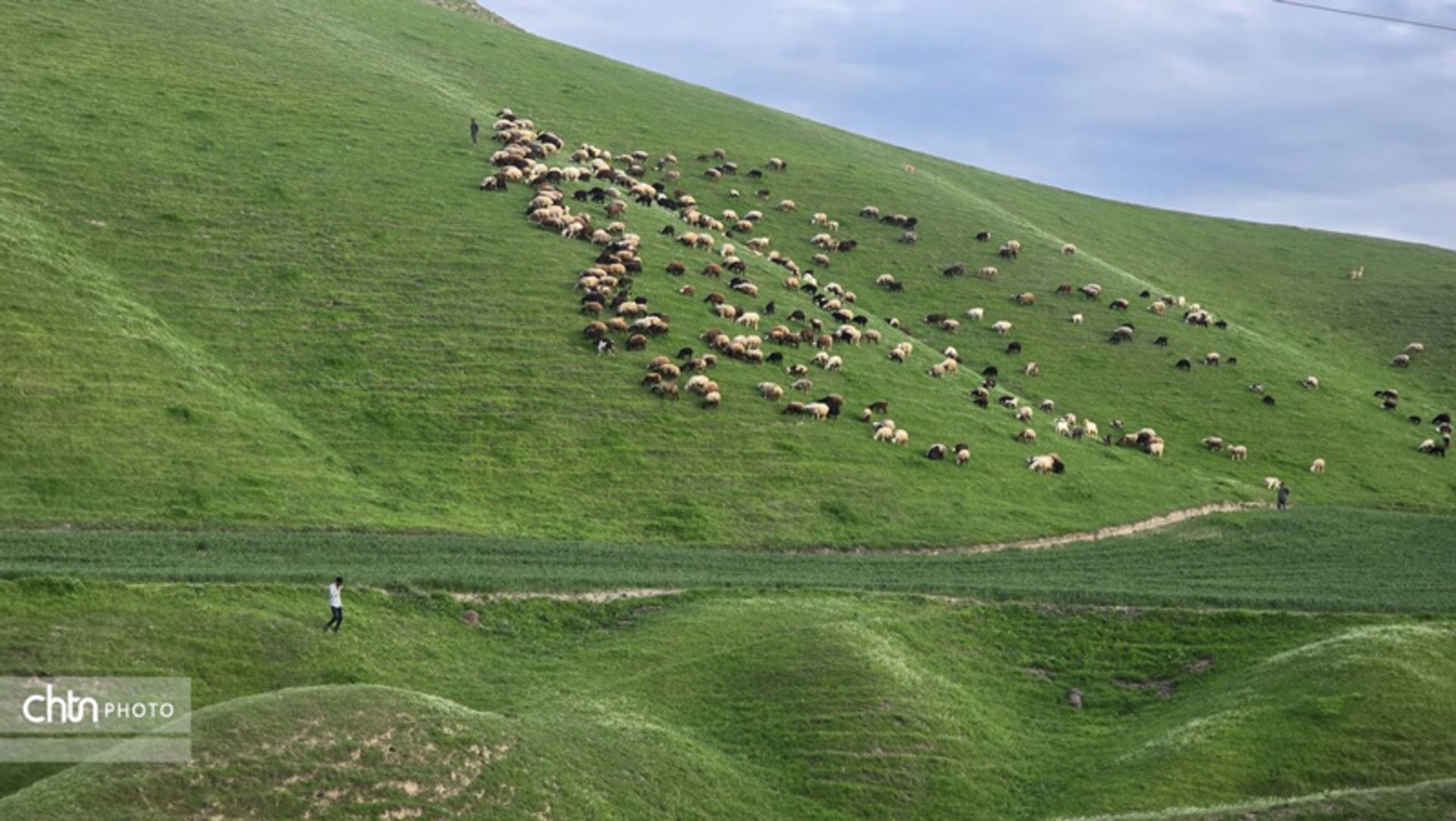 خالدنبی در بهار