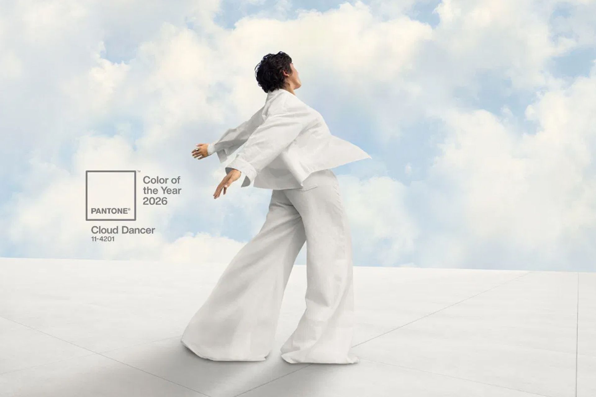 رنگ سال ۲۰۲۶