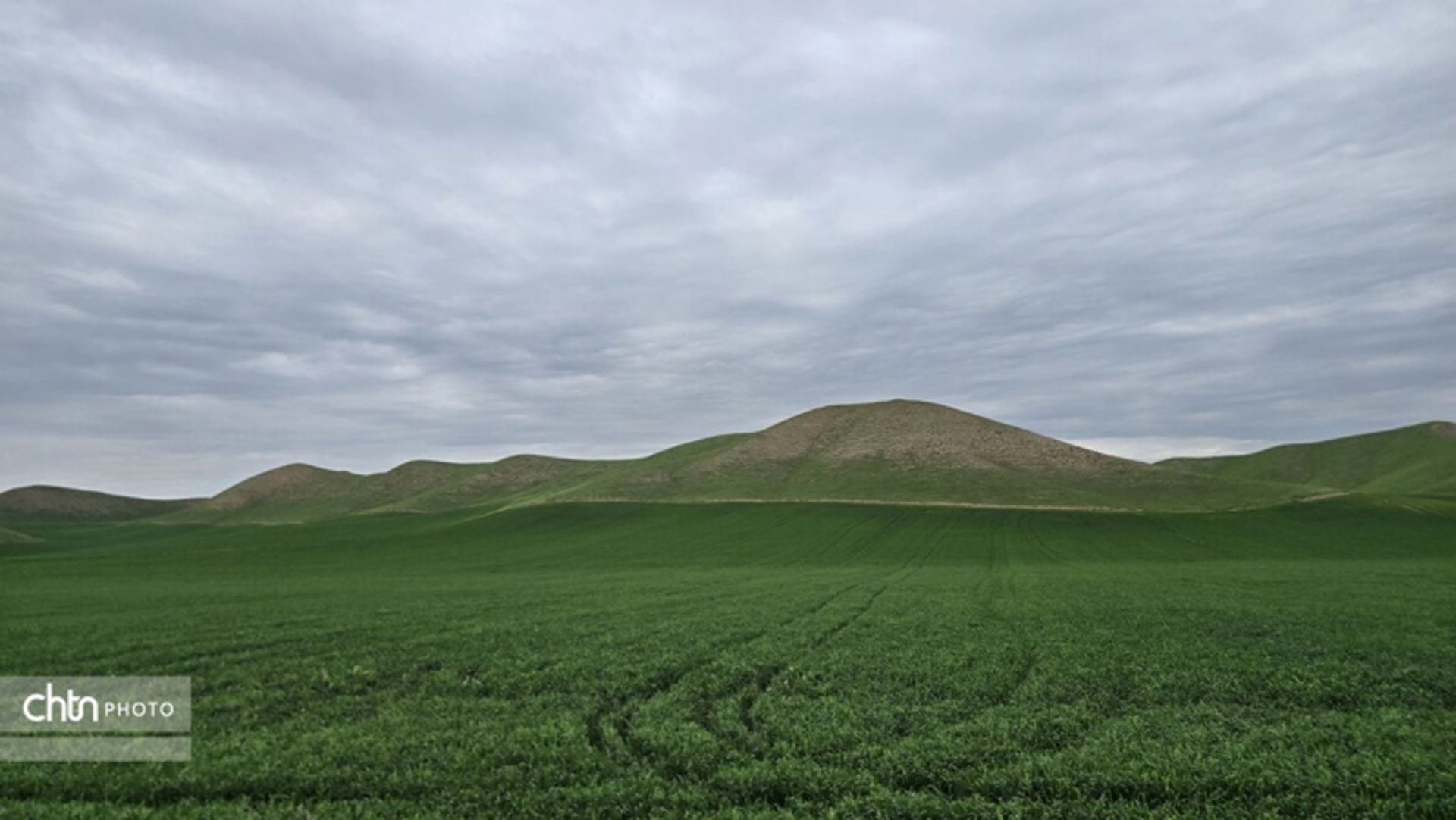 خالدنبی در بهار