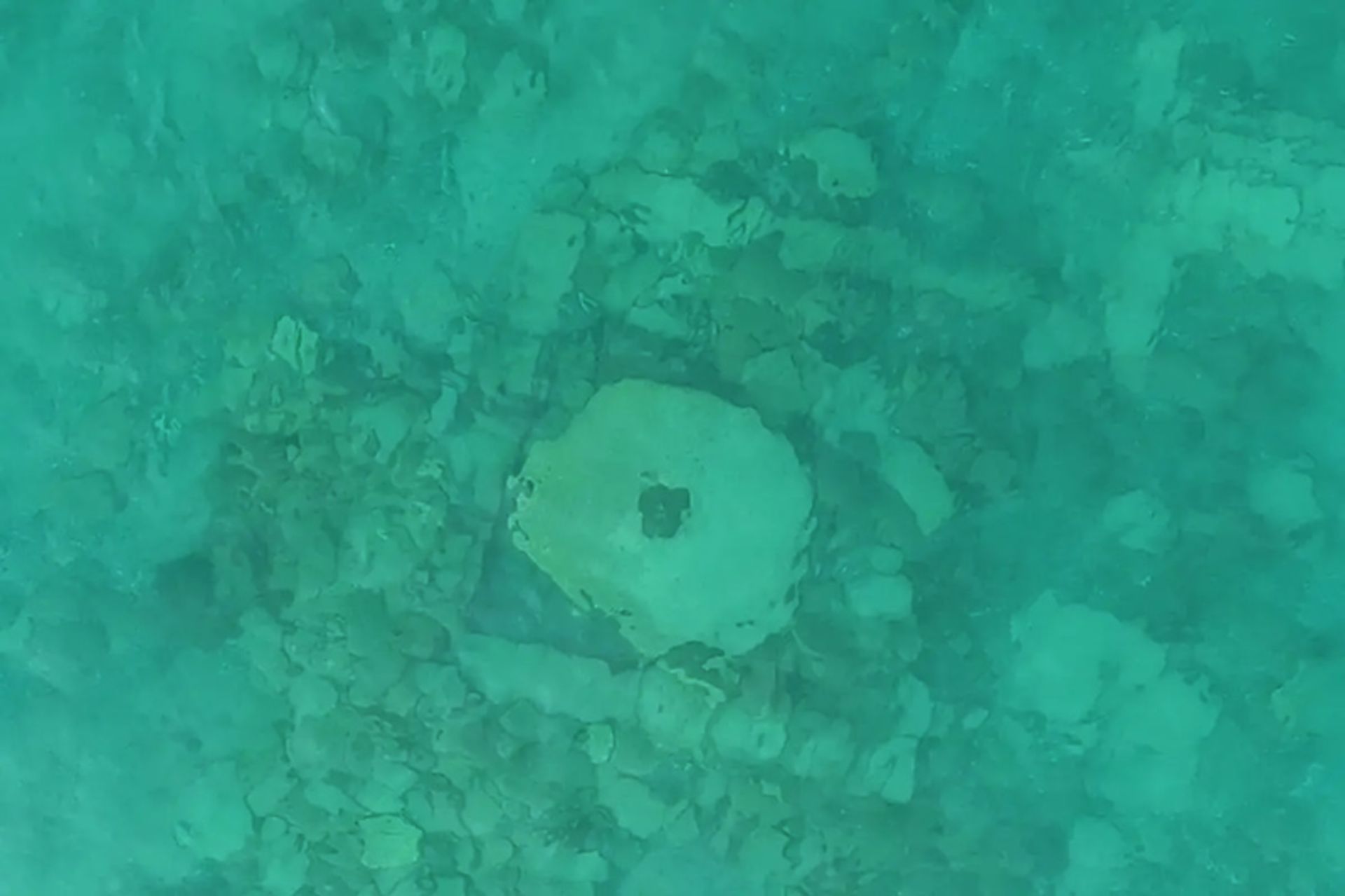 کشف شهر راه ابریشم