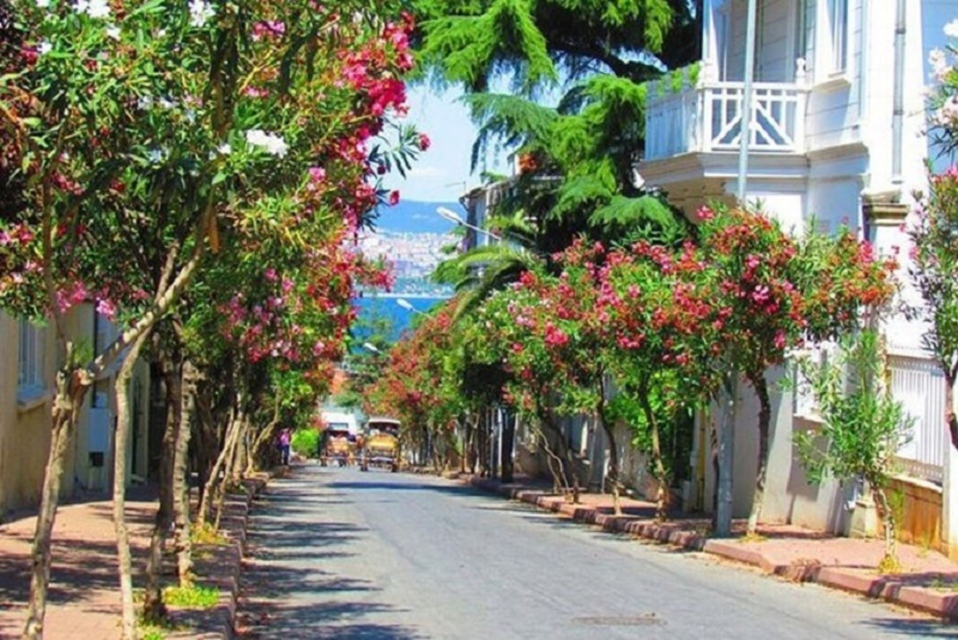 جزیره زیباو تمیز بویوک آدا