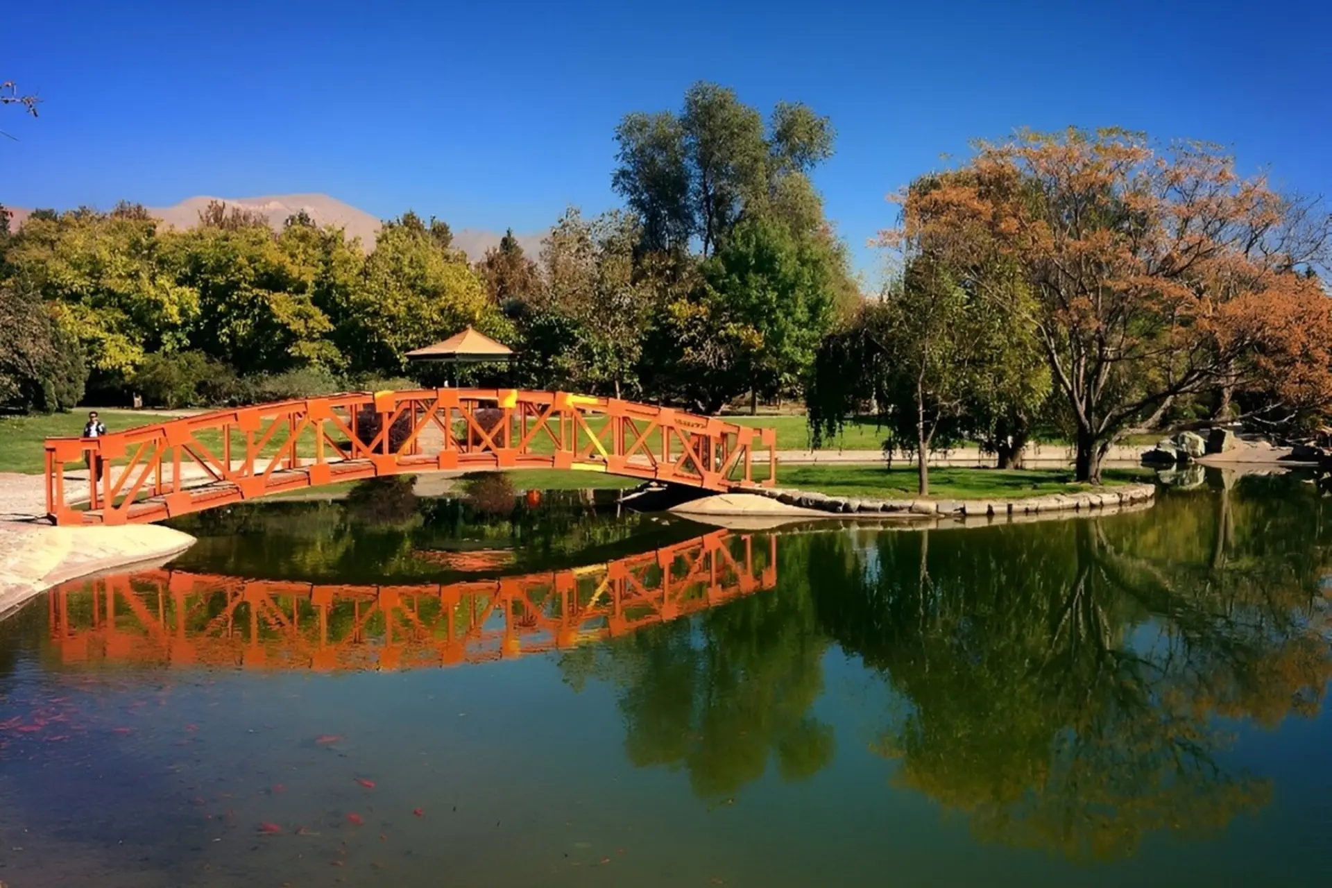 طبیعت پاییزی باغ مشهد با درختان هزار رنگ