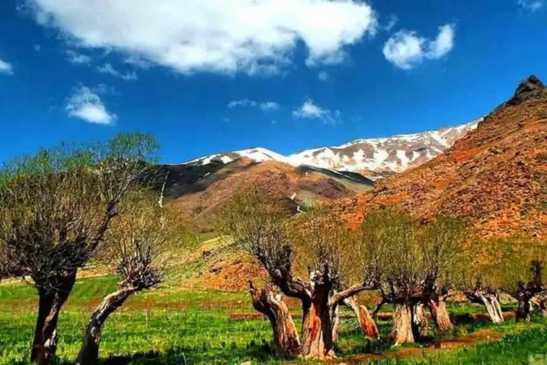 طبیعت پاییزی و آسمان آبی دشت هویج