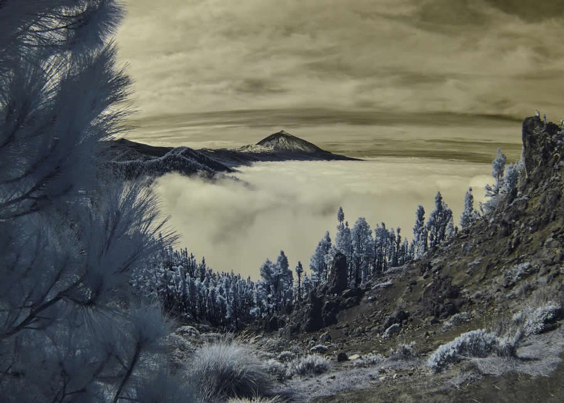 منظره رویایی مادون قرمز